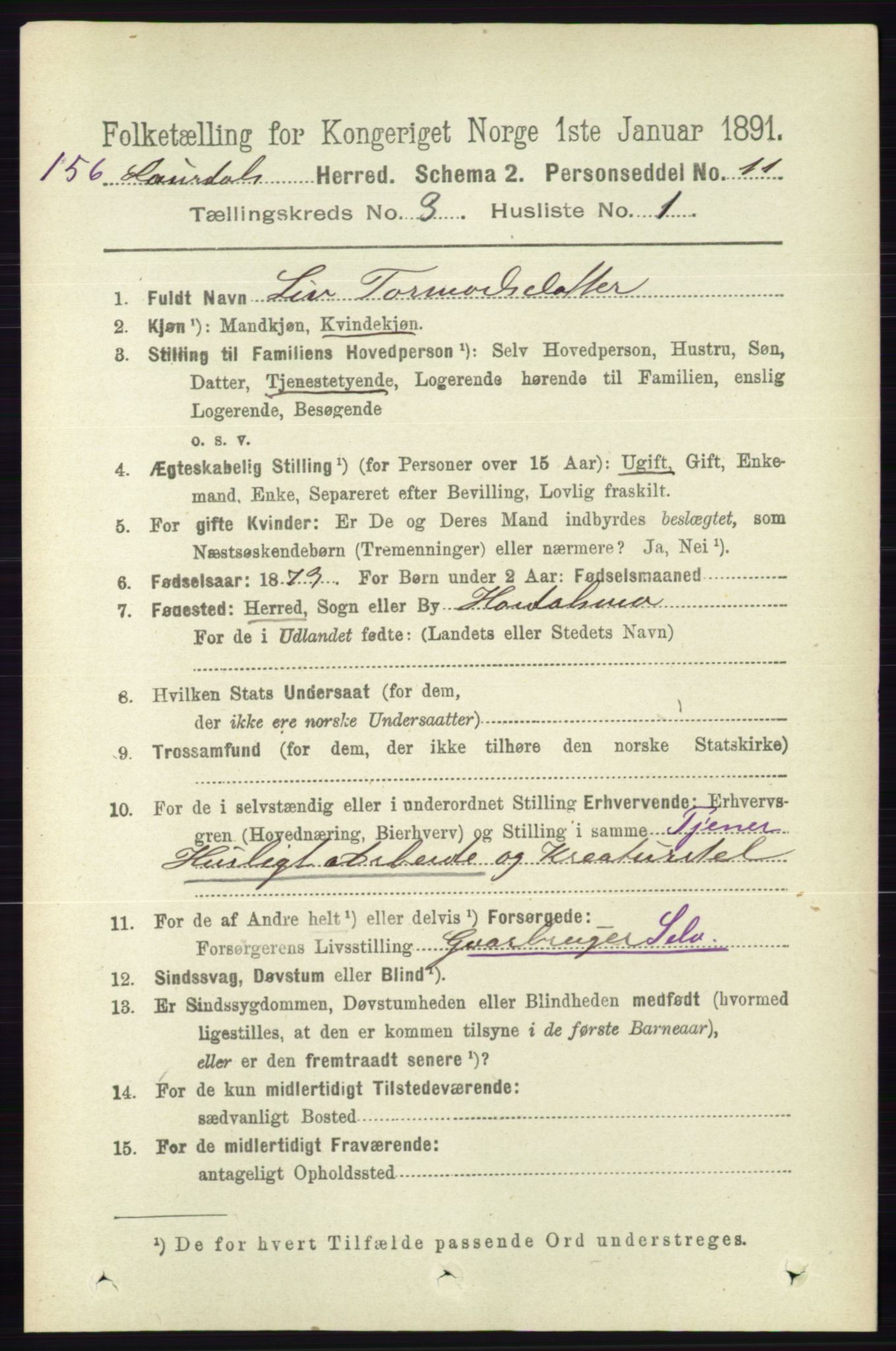 RA, 1891 census for 0833 Lårdal, 1891, p. 808