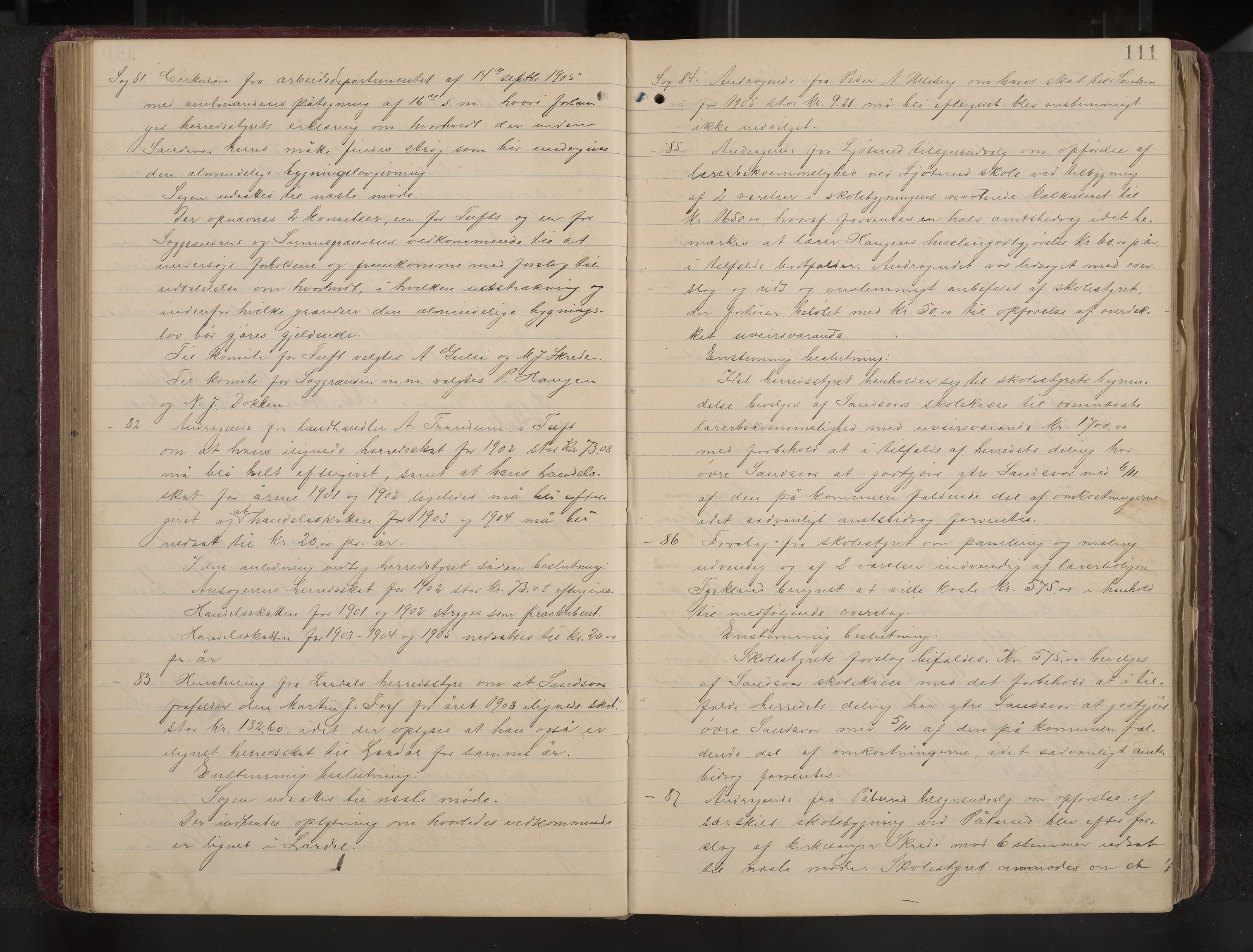 Ytre Sandsvær formannskap og sentraladministrasjon, IKAK/0629021/A/Aa/L0001: Møtebok med register, 1902-1919, p. 111