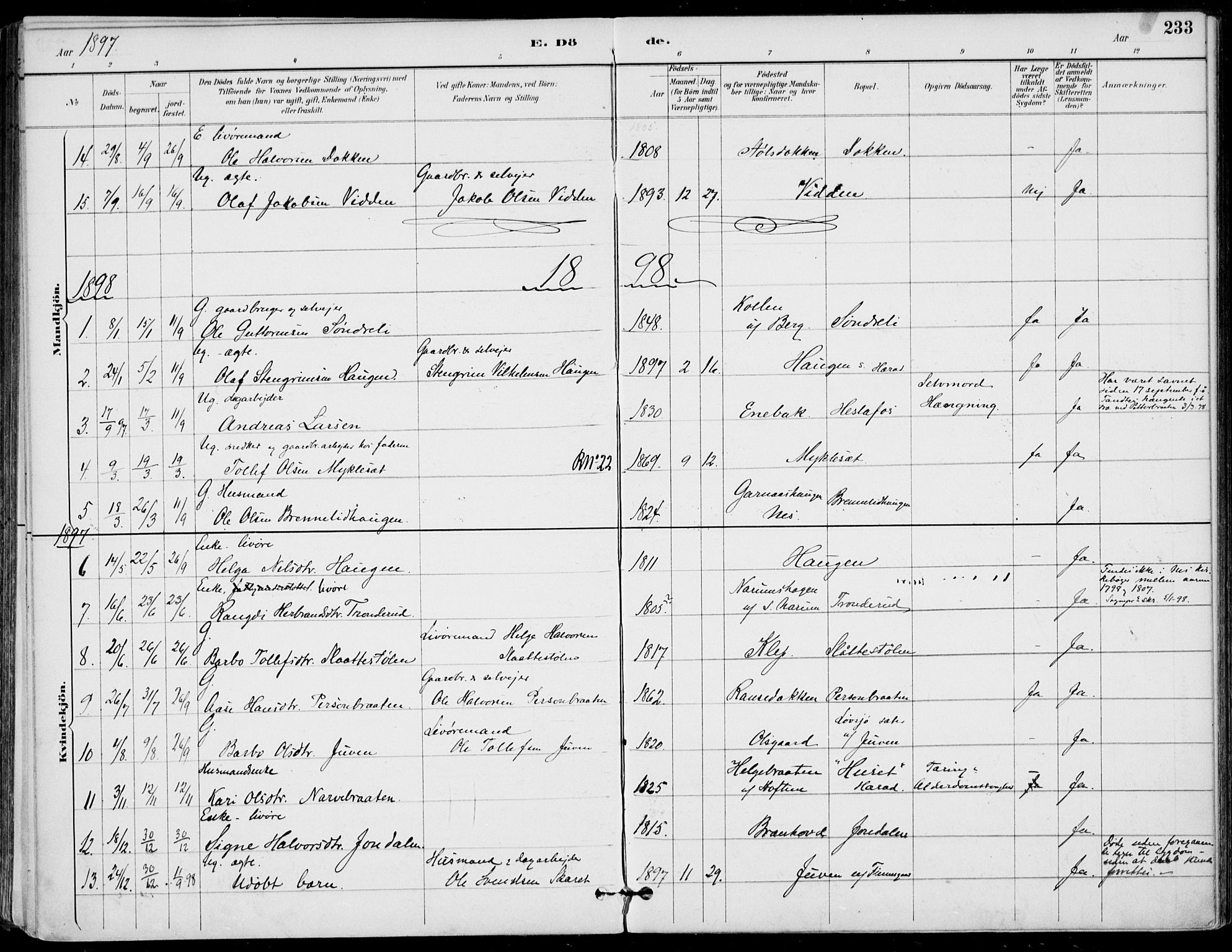 Gol kirkebøker, SAKO/A-226/F/Fa/L0005: Parish register (official) no. I 5, 1887-1900, p. 233