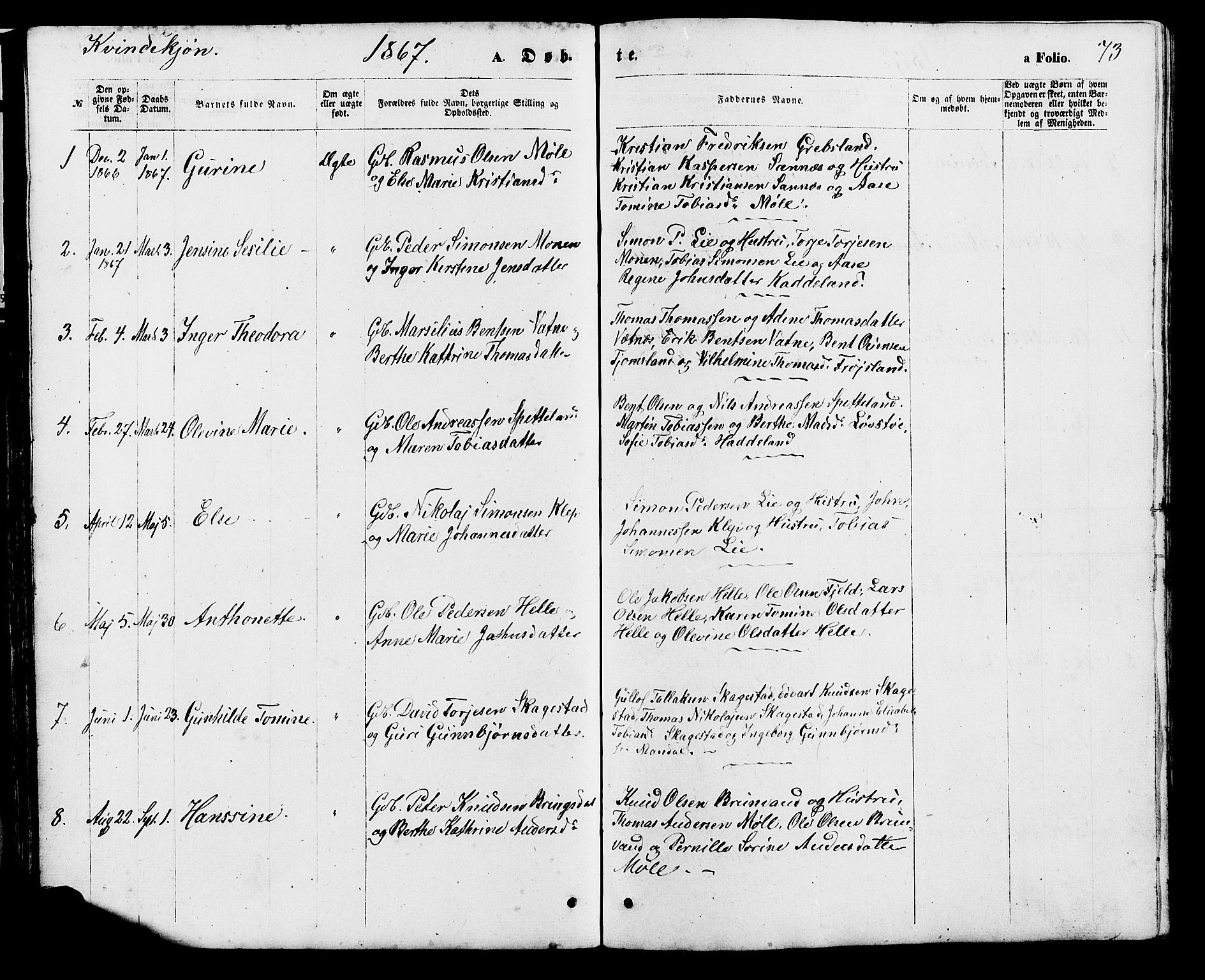 Holum sokneprestkontor, SAK/1111-0022/F/Fb/Fba/L0004: Parish register (copy) no. B 4, 1867-1890, p. 73