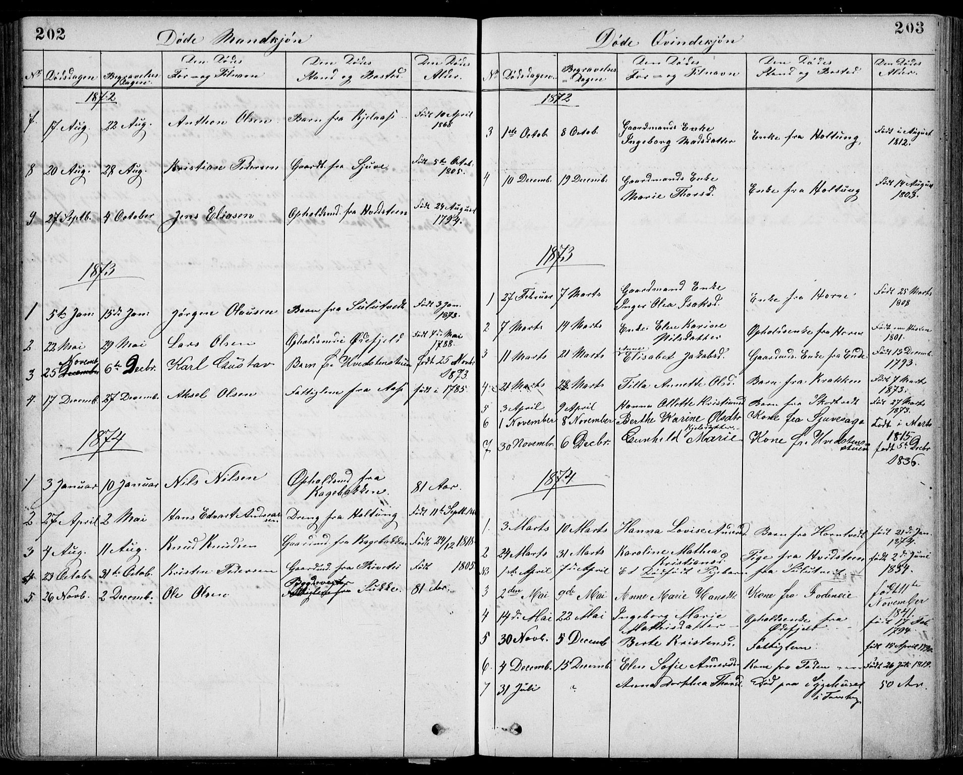 Ramnes kirkebøker, AV/SAKO-A-314/G/Gb/L0001: Parish register (copy) no. II 1, 1869-1904, p. 202-203