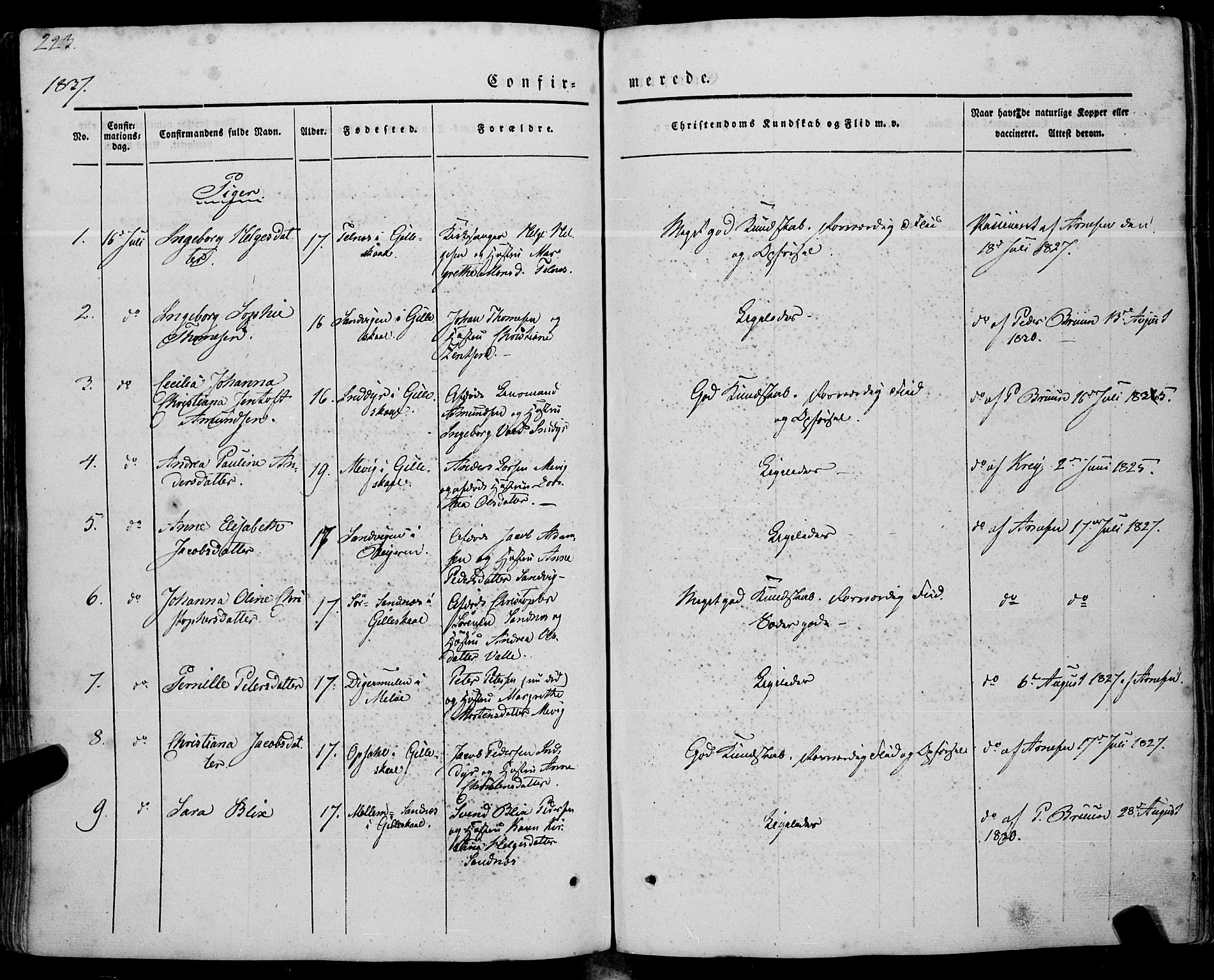 Ministerialprotokoller, klokkerbøker og fødselsregistre - Nordland, AV/SAT-A-1459/805/L0097: Parish register (official) no. 805A04, 1837-1861, p. 223