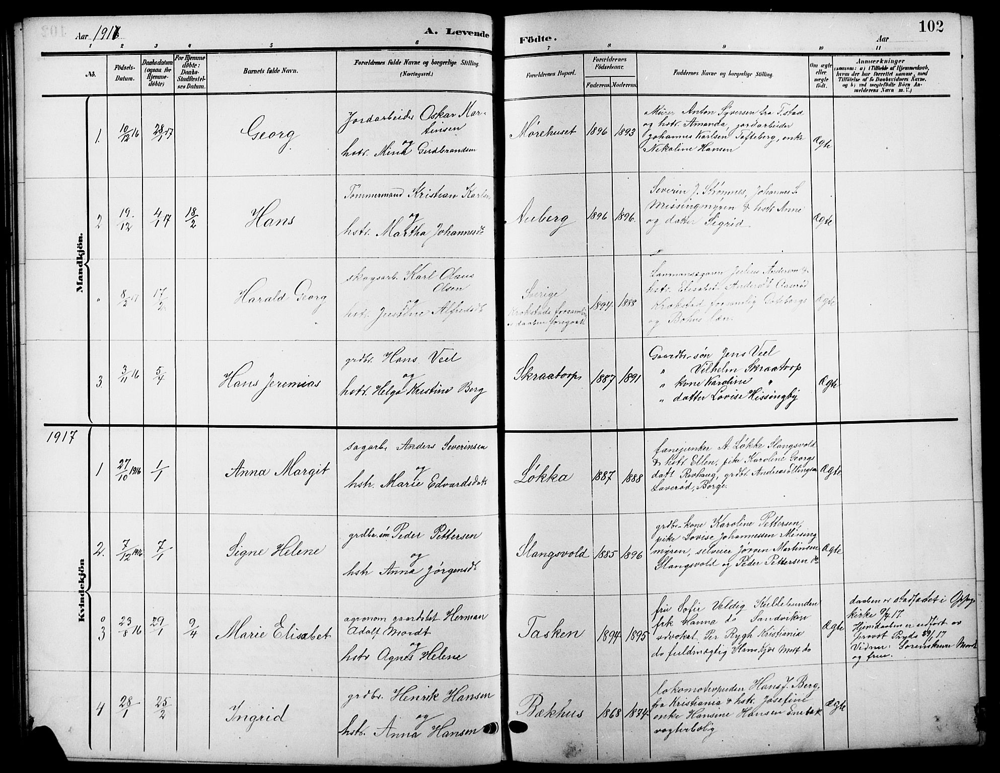 Råde prestekontor kirkebøker, AV/SAO-A-2009/G/Ga/L0001: Parish register (copy) no. 1, 1903-1925, p. 102