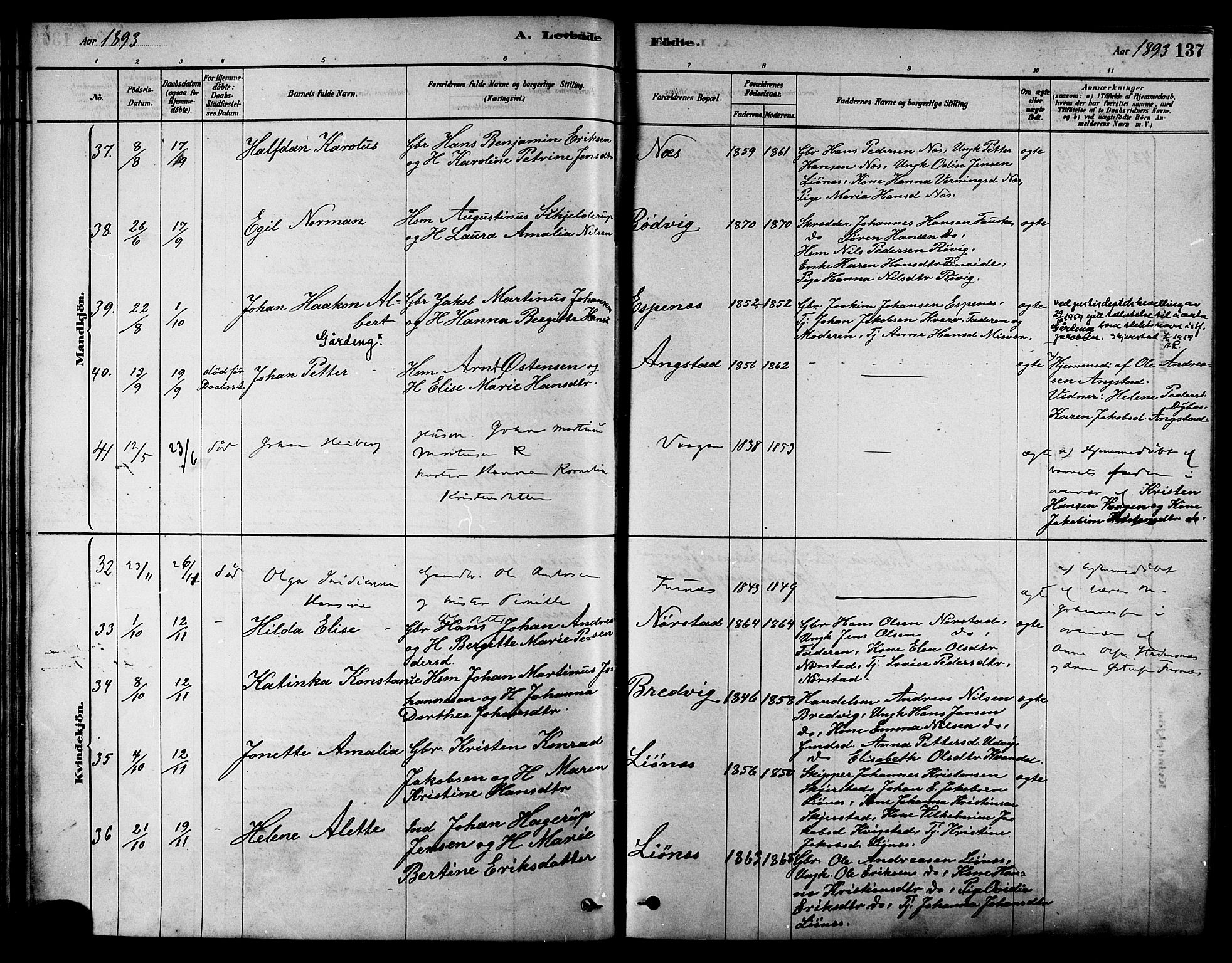 Ministerialprotokoller, klokkerbøker og fødselsregistre - Nordland, AV/SAT-A-1459/852/L0740: Parish register (official) no. 852A10, 1878-1894, p. 137