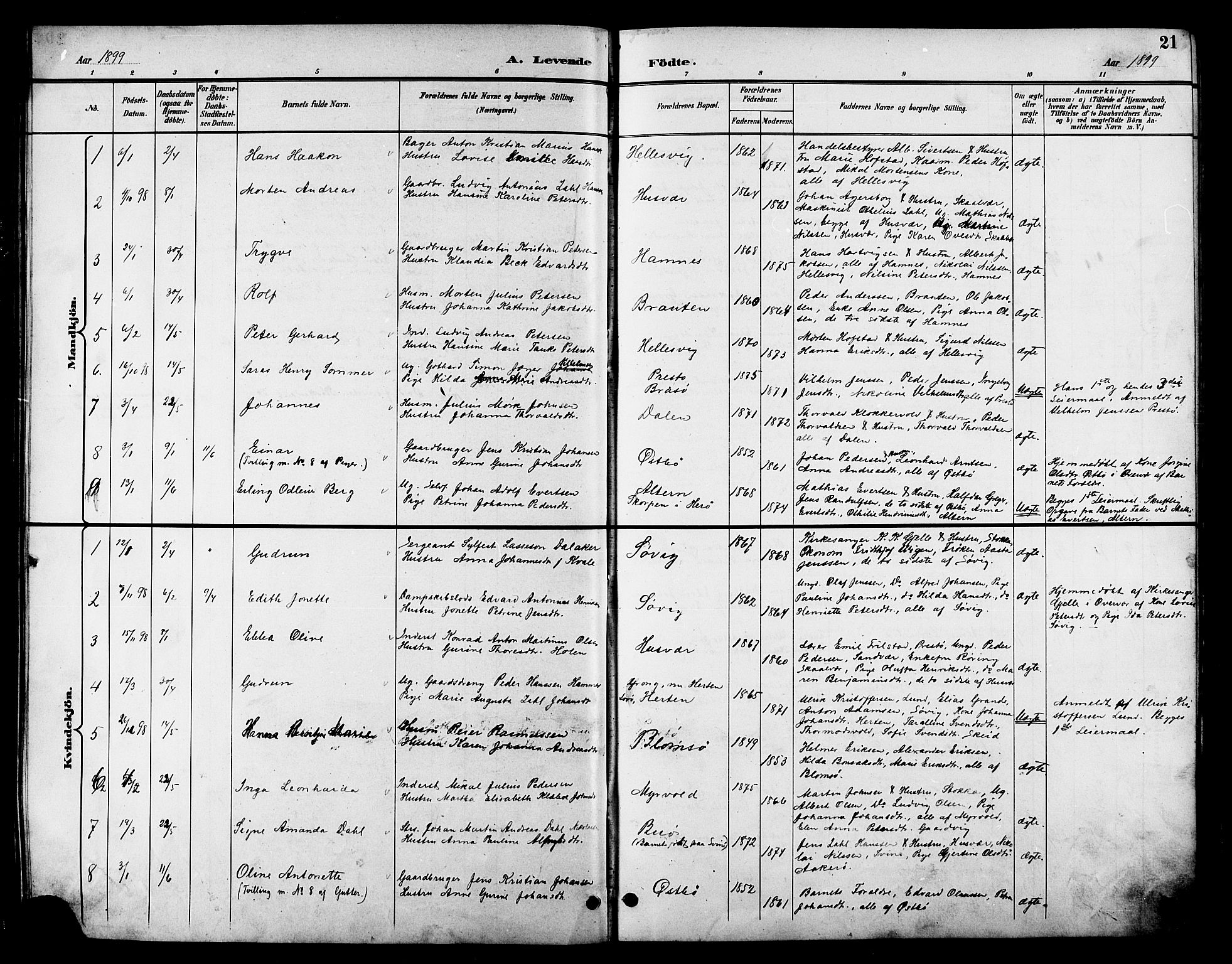 Ministerialprotokoller, klokkerbøker og fødselsregistre - Nordland, AV/SAT-A-1459/830/L0463: Parish register (copy) no. 830C05, 1895-1906, p. 21