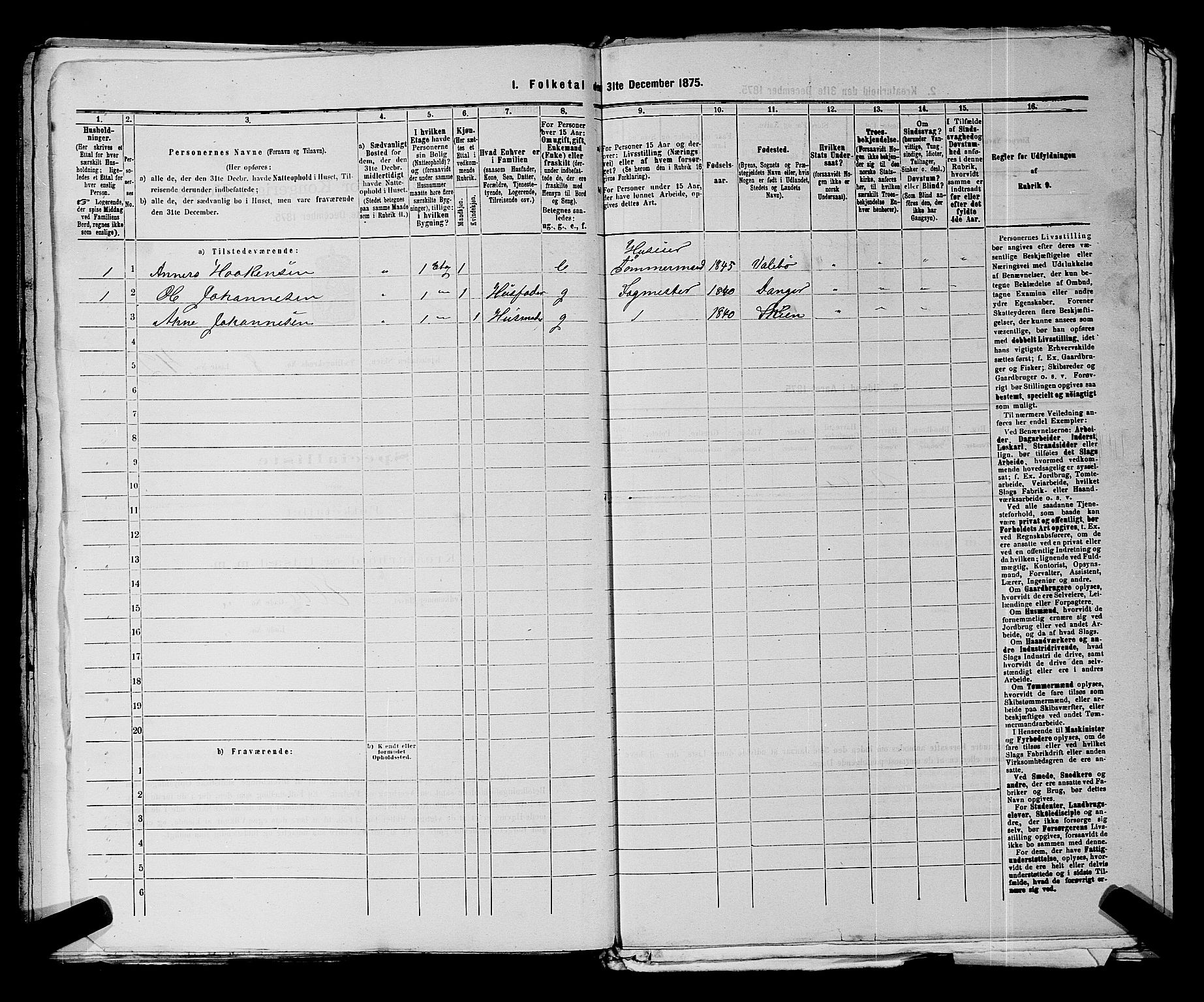 SAKO, 1875 census for 0806P Skien, 1875, p. 1336