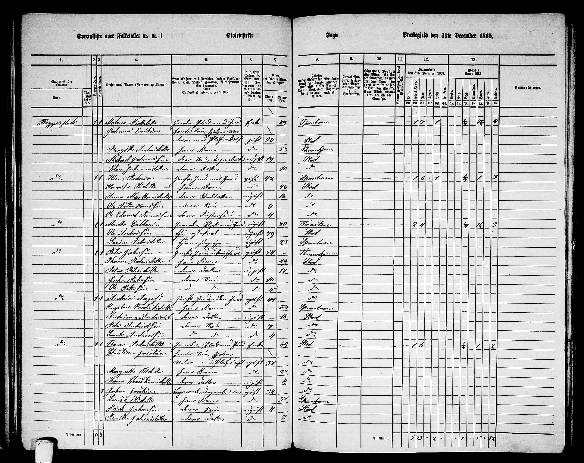 RA, 1865 census for Stod, 1865, p. 80