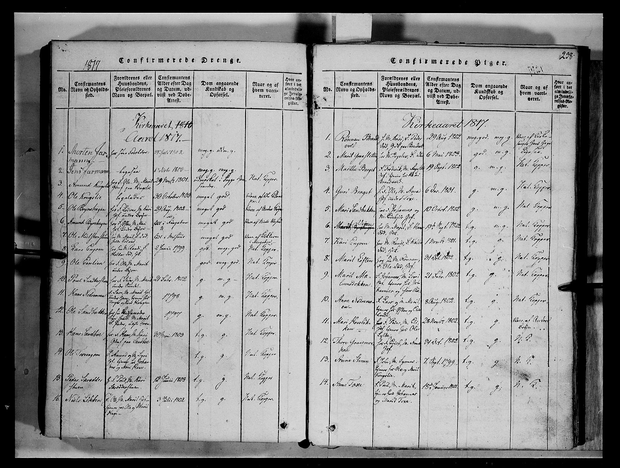 Fron prestekontor, SAH/PREST-078/H/Ha/Hab/L0004: Parish register (copy) no. 4, 1816-1850, p. 238