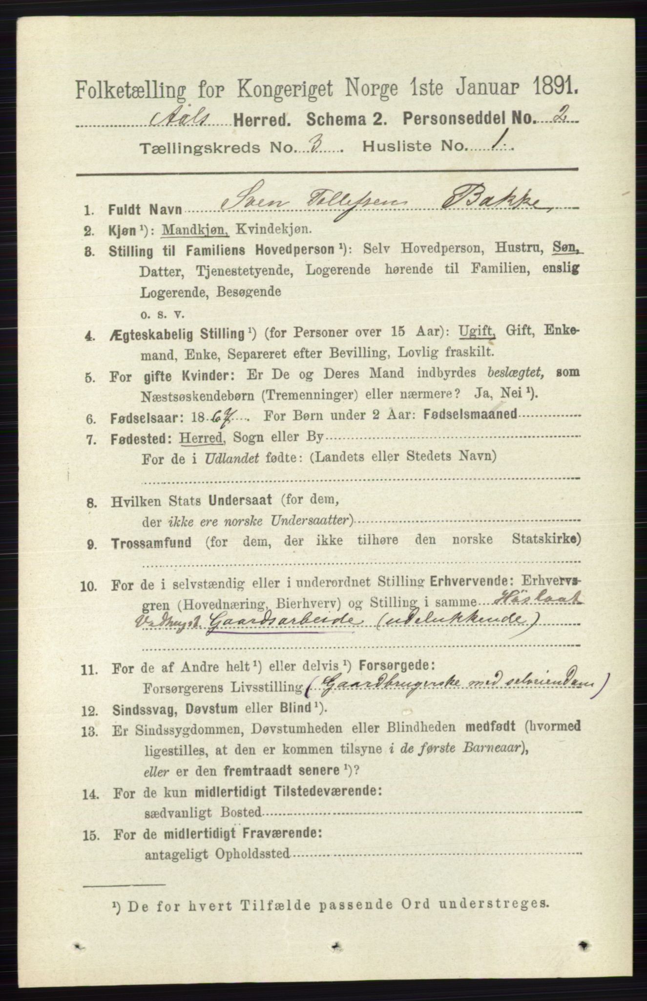 RA, 1891 census for 0619 Ål, 1891, p. 656