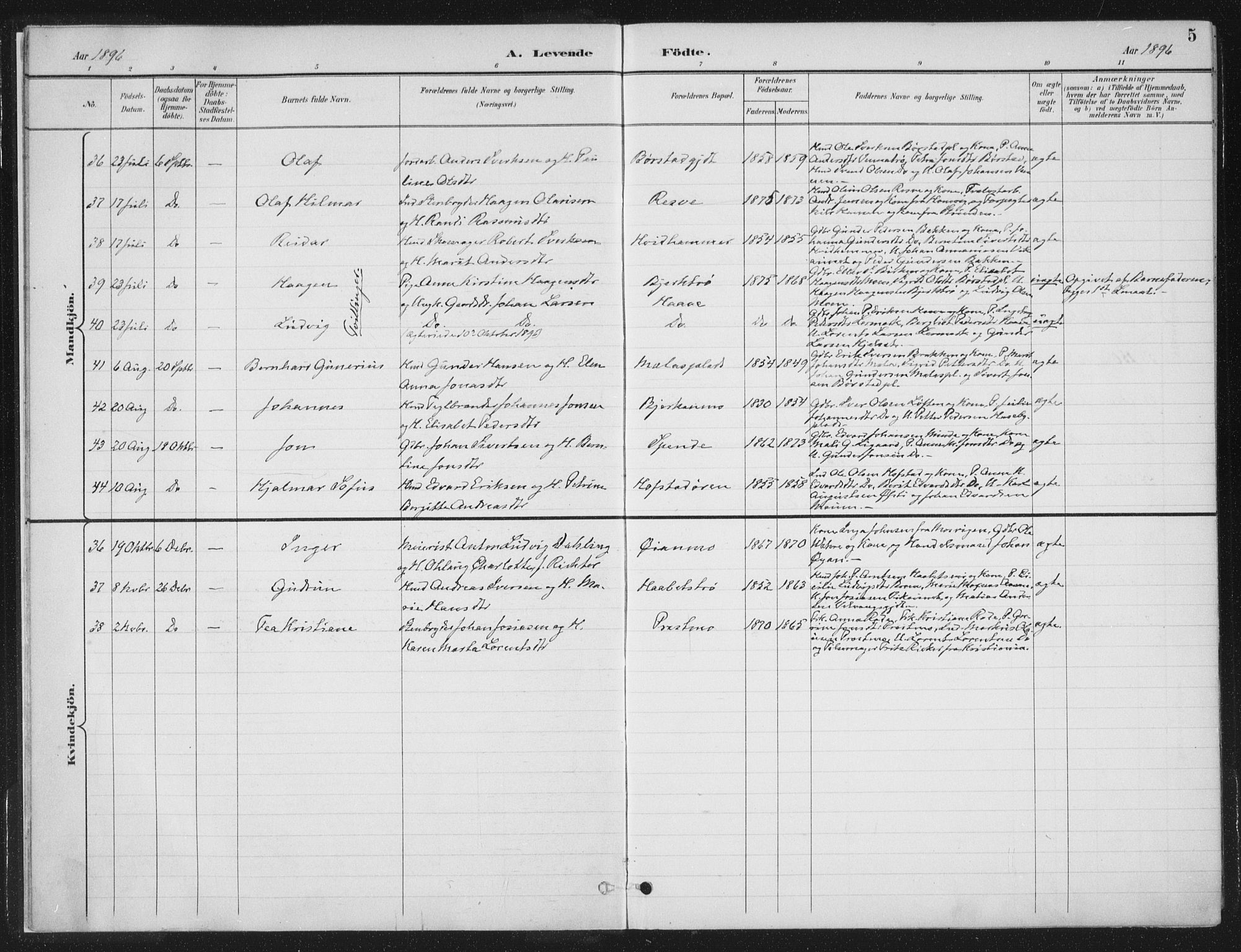 Ministerialprotokoller, klokkerbøker og fødselsregistre - Nord-Trøndelag, AV/SAT-A-1458/709/L0082: Parish register (official) no. 709A22, 1896-1916, p. 5