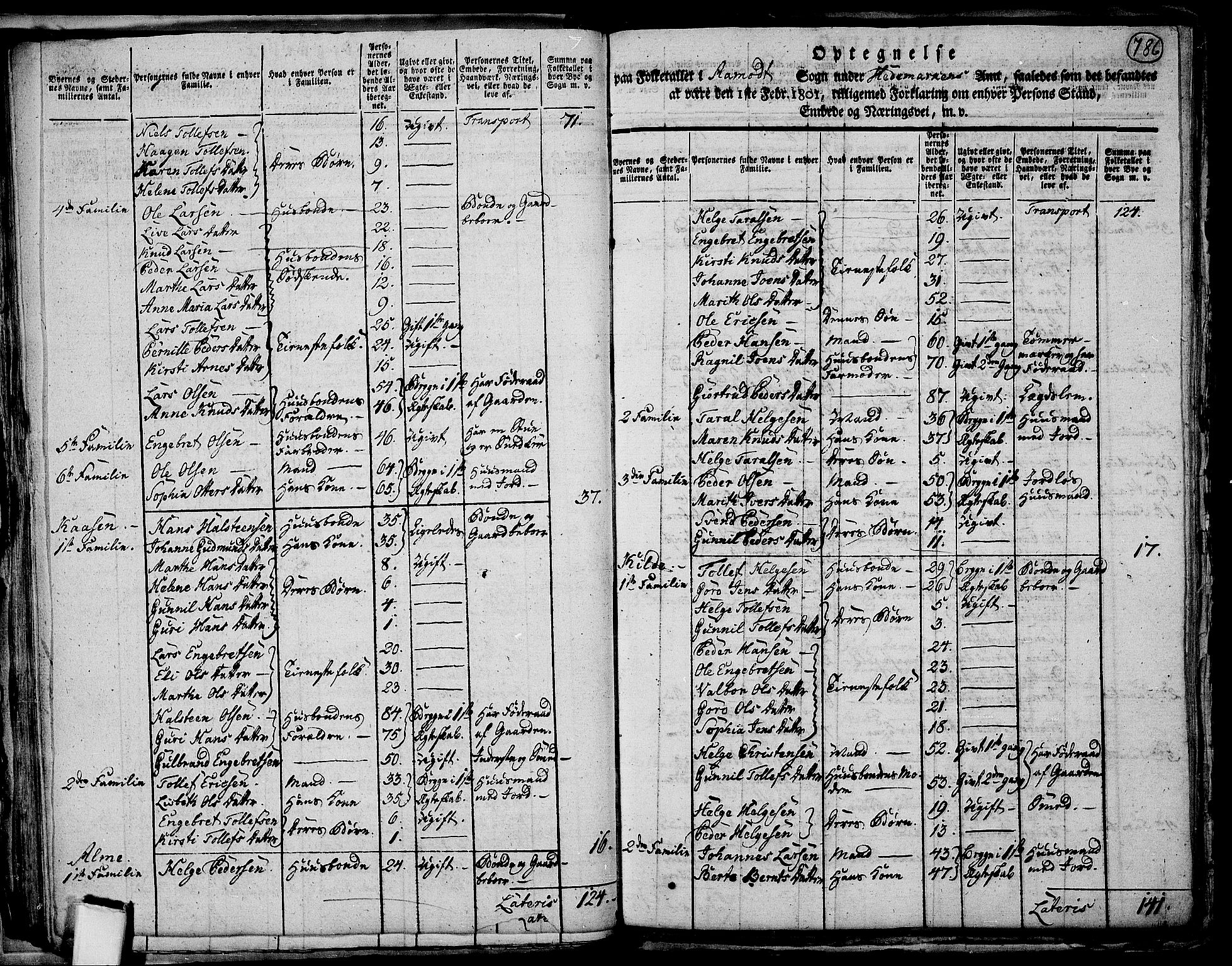 RA, 1801 census for 0429P Åmot, 1801, p. 785b-786a