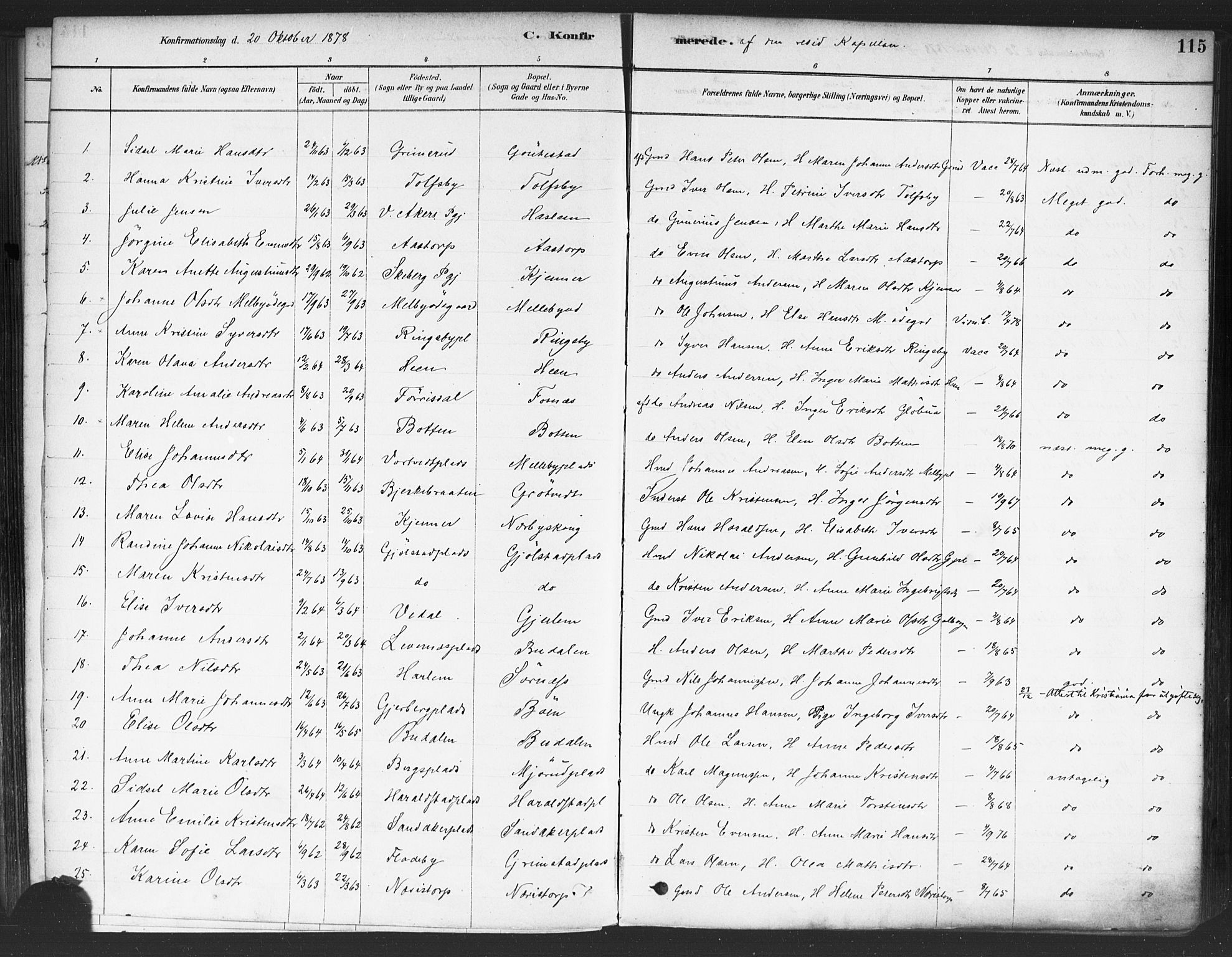 Rakkestad prestekontor Kirkebøker, AV/SAO-A-2008/F/Fa/L0012: Parish register (official) no. I 12, 1878-1893, p. 115