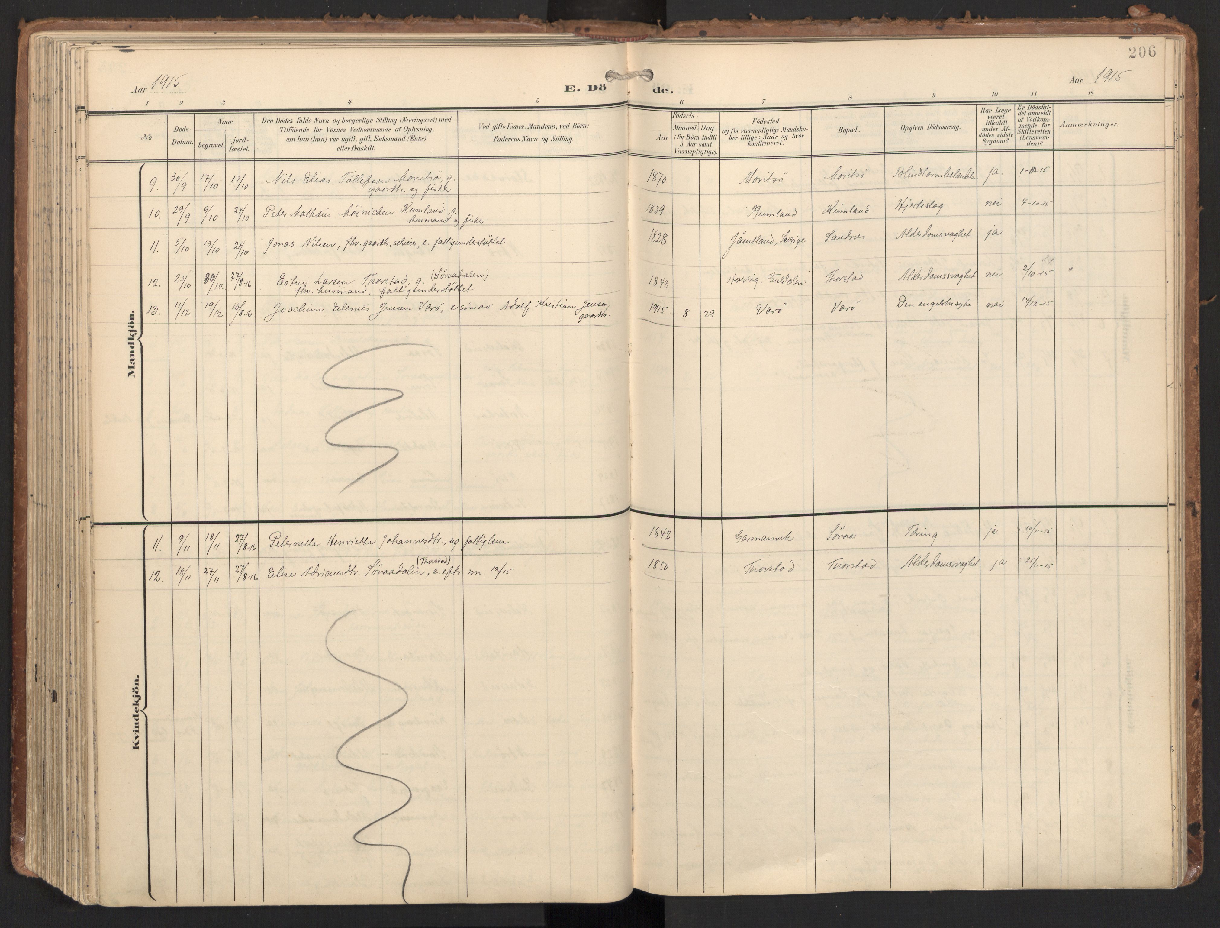 Ministerialprotokoller, klokkerbøker og fødselsregistre - Nord-Trøndelag, SAT/A-1458/784/L0677: Parish register (official) no. 784A12, 1900-1920, p. 206