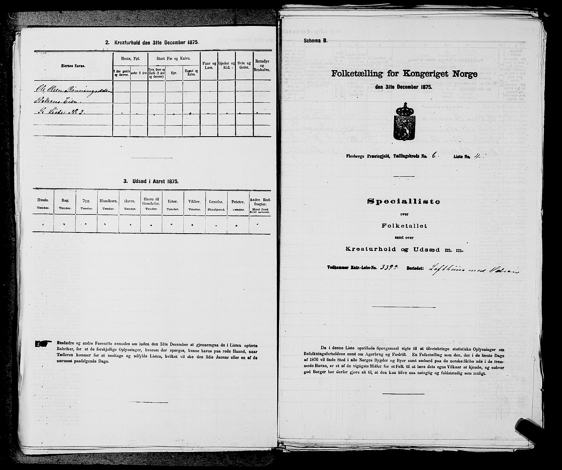 SAKO, 1875 census for 0631P Flesberg, 1875, p. 1089