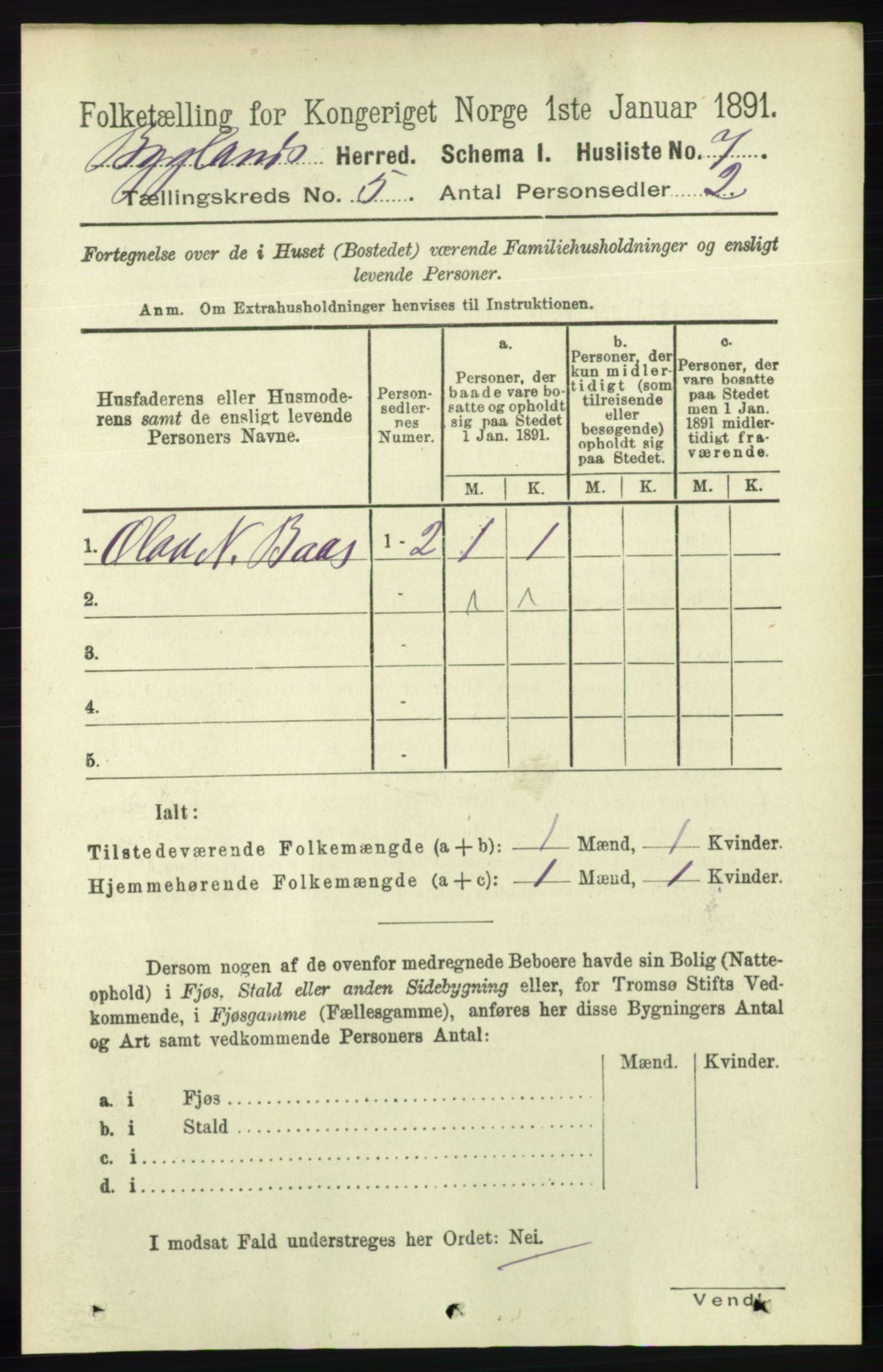 RA, 1891 census for 0938 Bygland, 1891, p. 1004