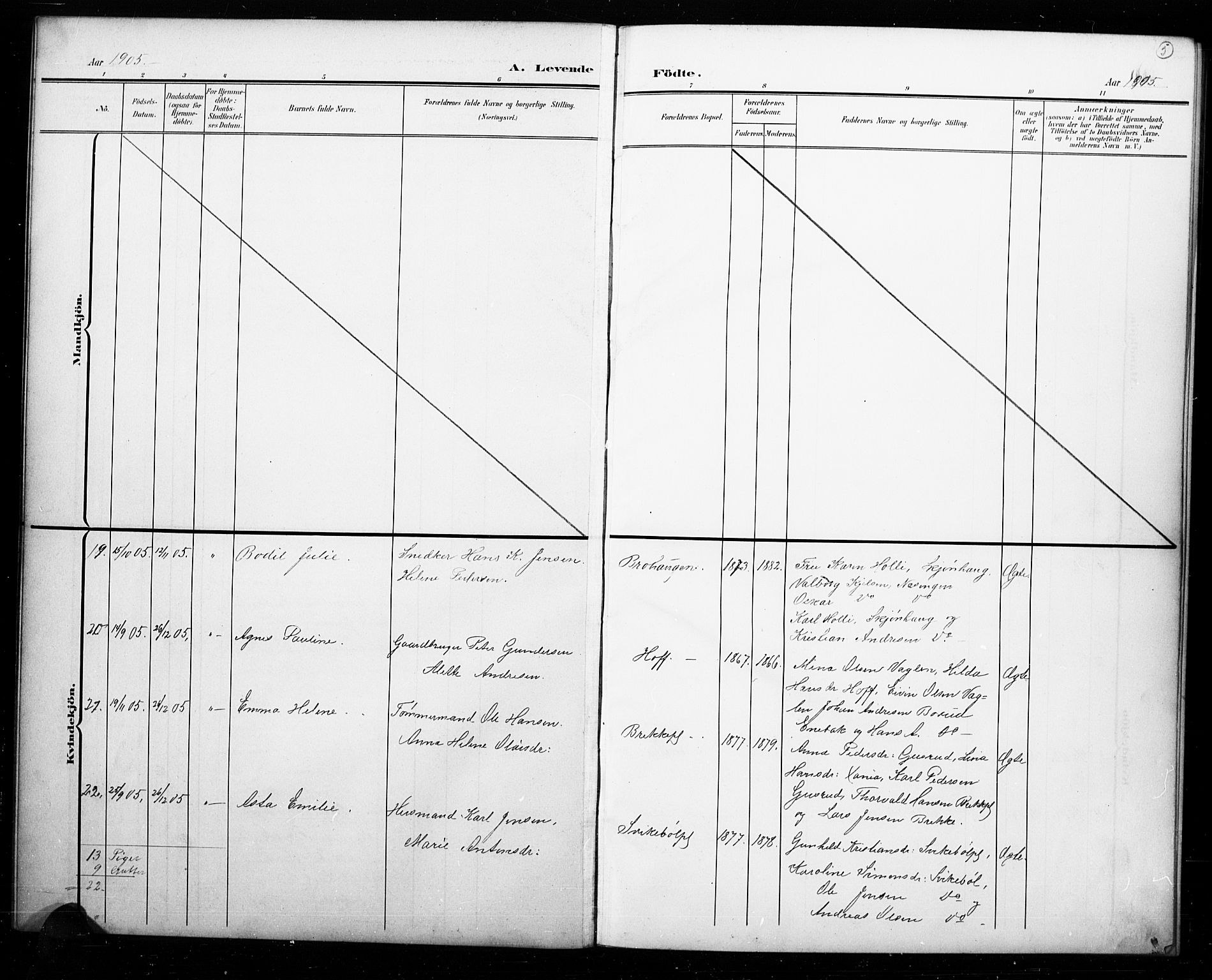 Hobøl prestekontor Kirkebøker, SAO/A-2002/G/Ga/L0001: Parish register (copy) no. I 1, 1905-1927, p. 5