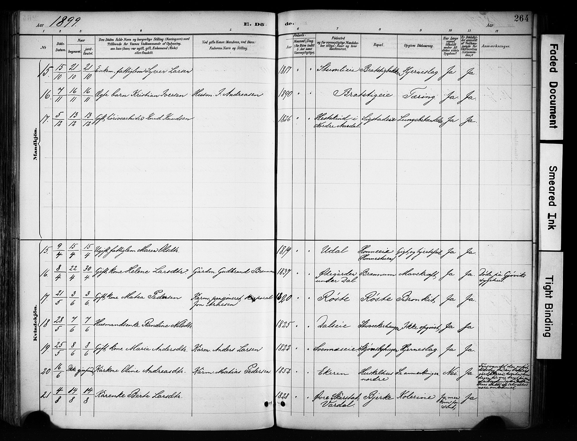 Biri prestekontor, SAH/PREST-096/H/Ha/Haa/L0009: Parish register (official) no. 9, 1887-1900, p. 264
