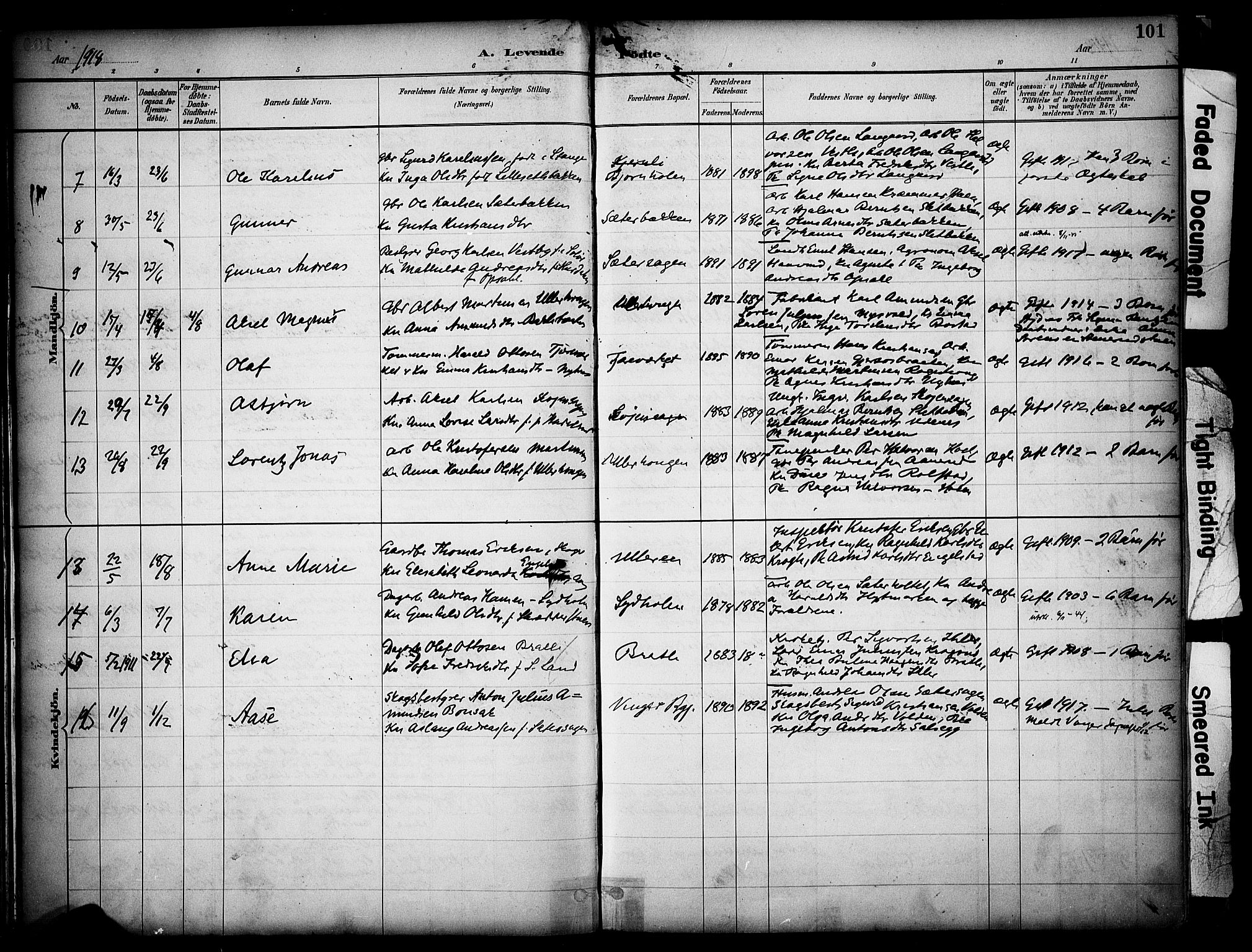 Sør-Odal prestekontor, AV/SAH-PREST-030/H/Ha/Haa/L0008: Parish register (official) no. 8, 1886-1922, p. 101