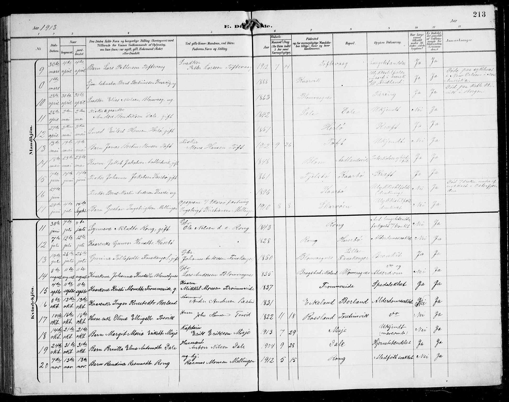 Herdla Sokneprestembete, SAB/A-75701/H/Hab: Parish register (copy) no. C 1, 1900-1913, p. 213