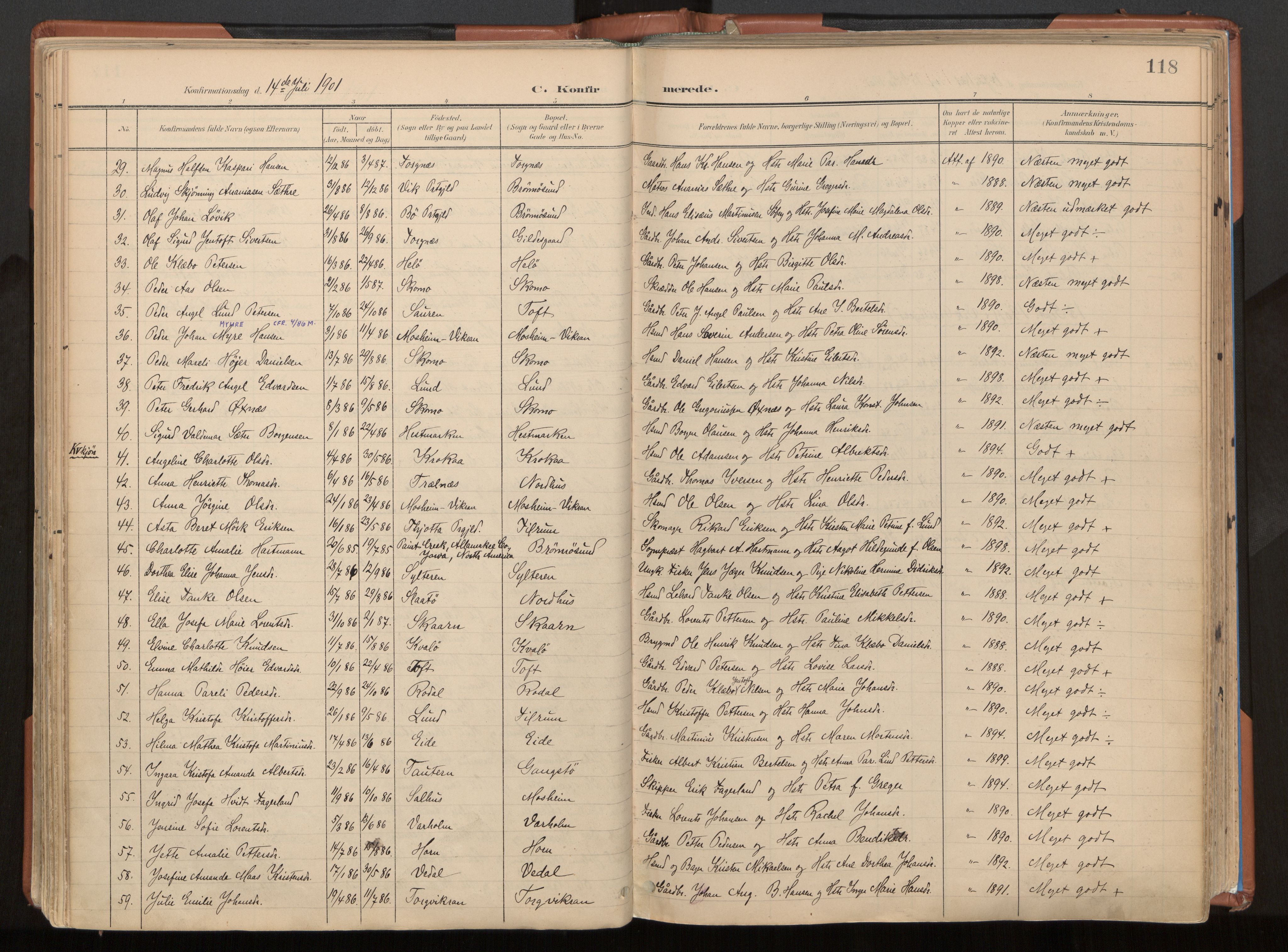 Ministerialprotokoller, klokkerbøker og fødselsregistre - Nordland, SAT/A-1459/813/L0201: Parish register (official) no. 813A11, 1901-1918, p. 118