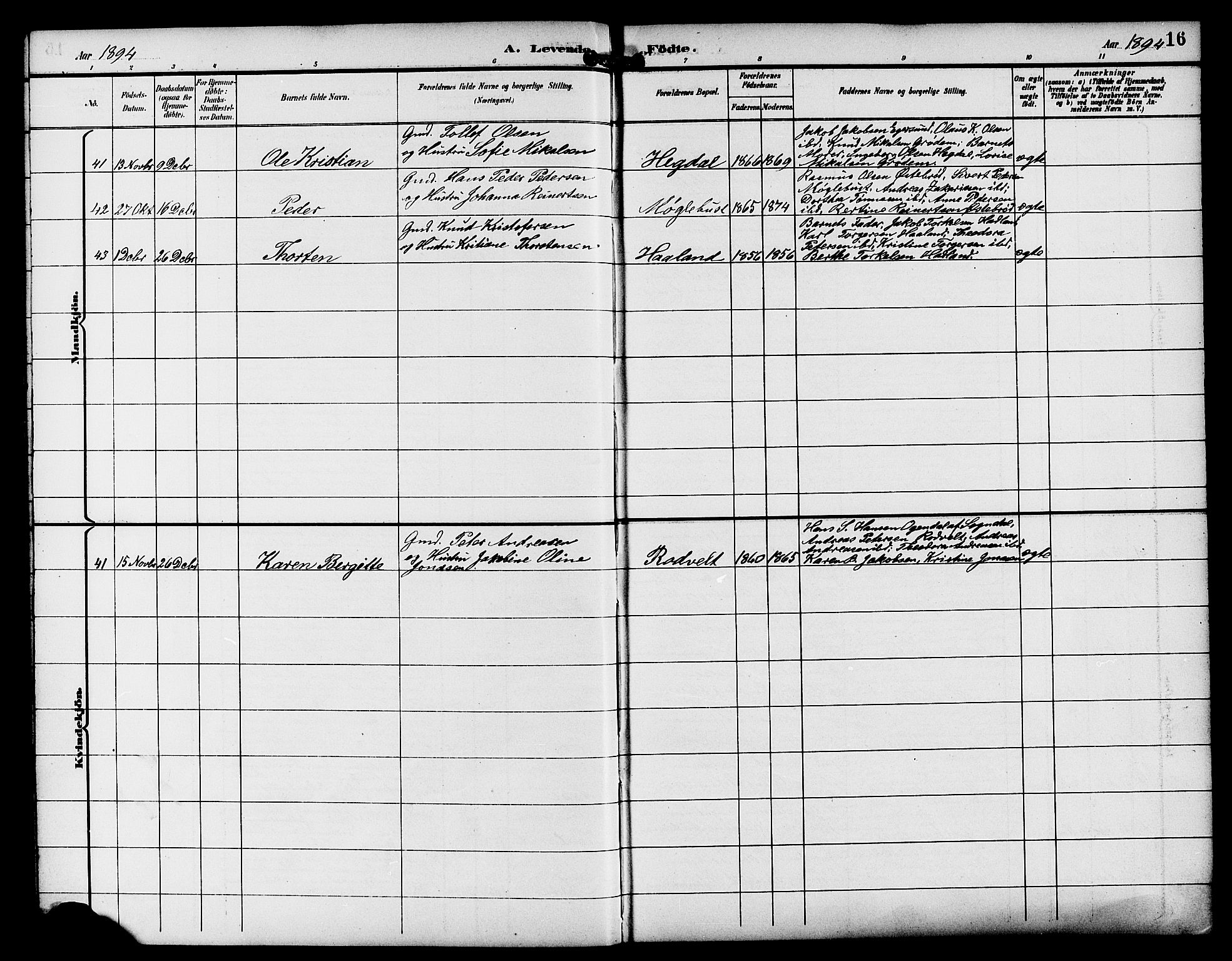 Eigersund sokneprestkontor, AV/SAST-A-101807/S09/L0009: Parish register (copy) no. B 9, 1893-1907, p. 16