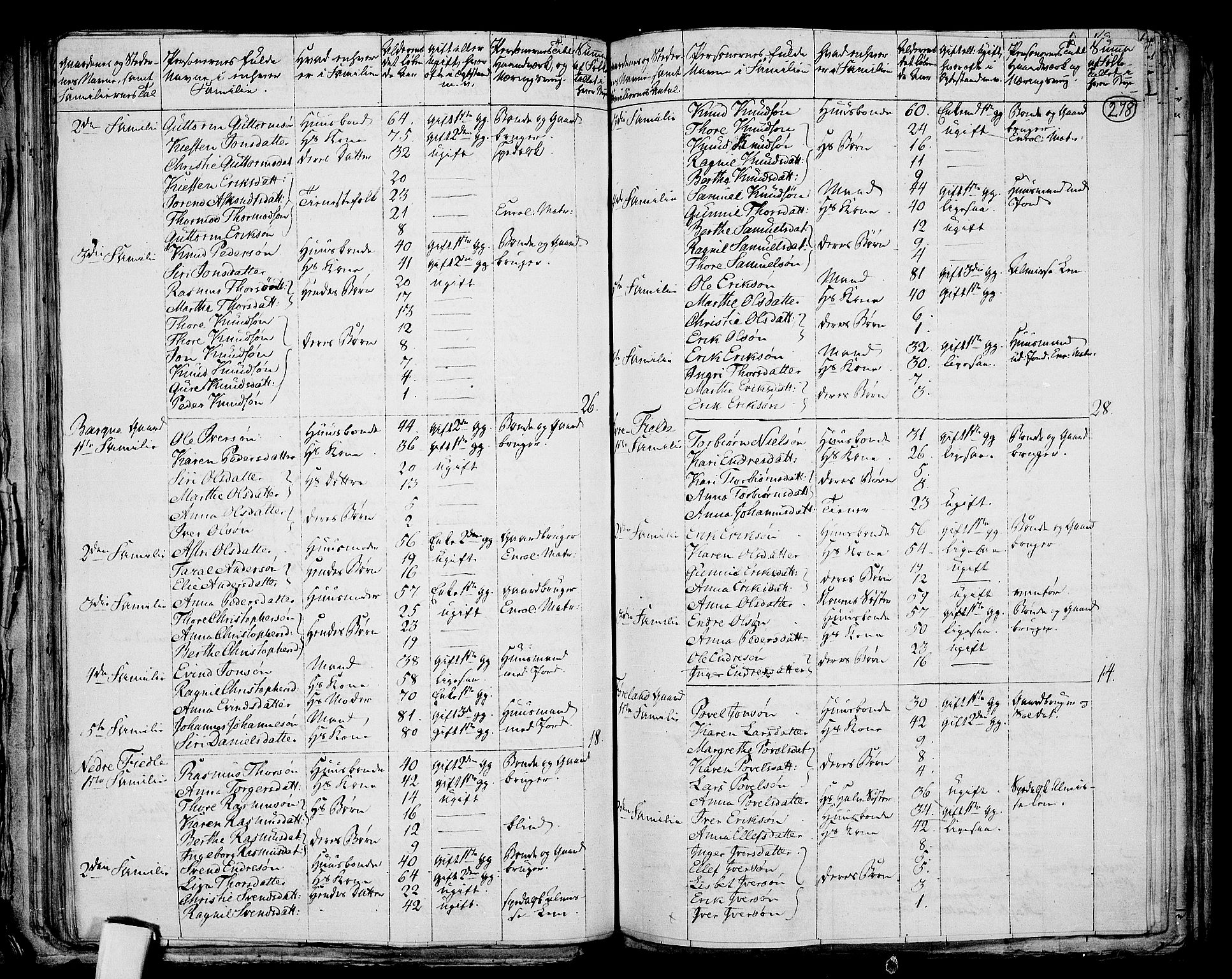 RA, 1801 census for 1130P Strand, 1801, p. 277b-278a