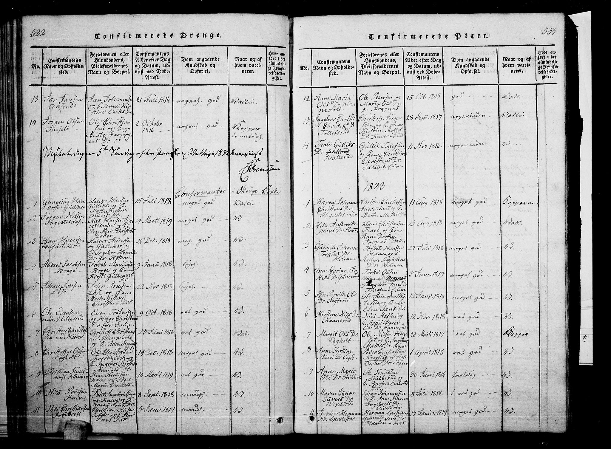 Skoger kirkebøker, AV/SAKO-A-59/G/Ga/L0001: Parish register (copy) no. I 1, 1814-1845, p. 532-533