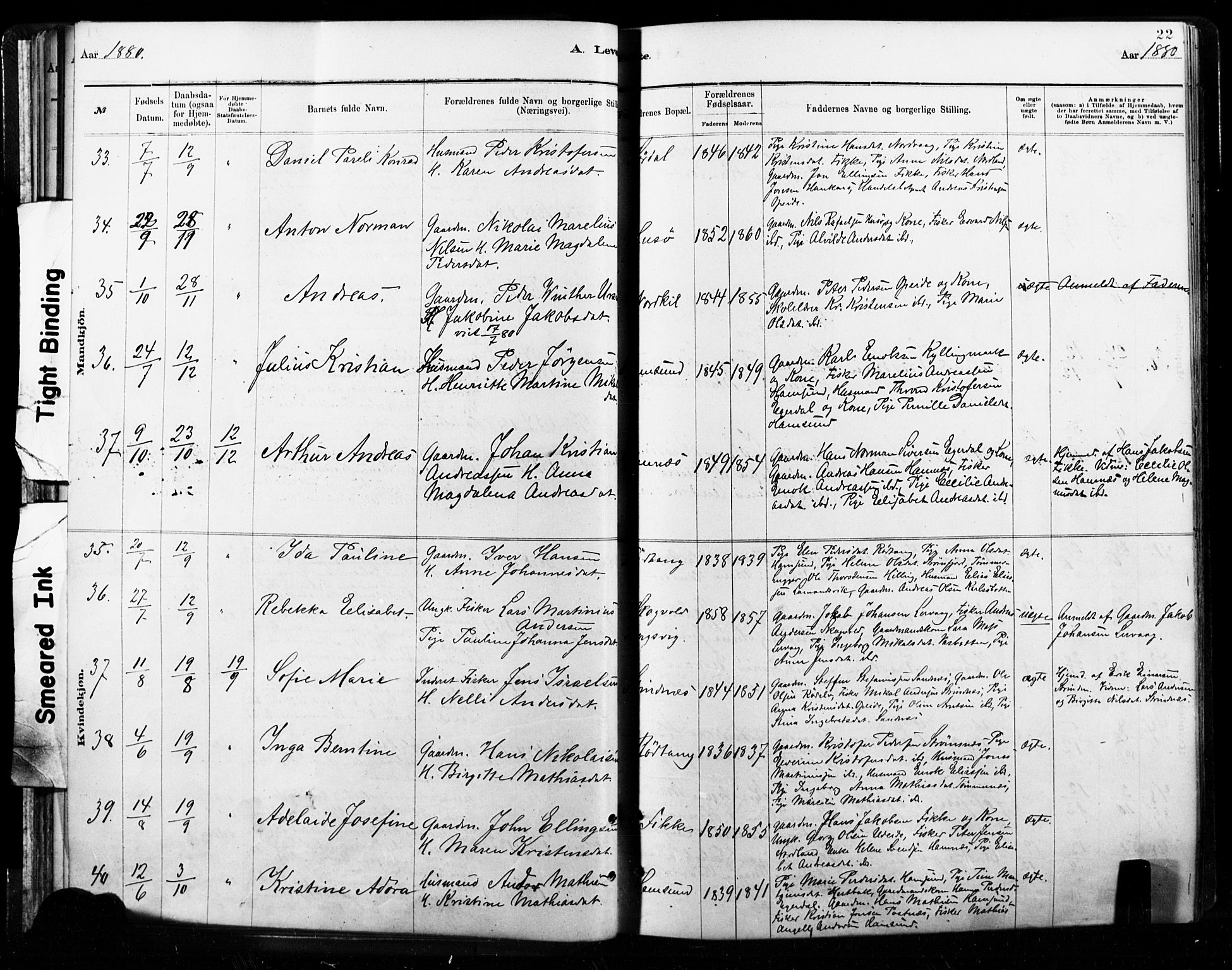 Ministerialprotokoller, klokkerbøker og fødselsregistre - Nordland, AV/SAT-A-1459/859/L0846: Parish register (official) no. 859A06, 1878-1889, p. 22