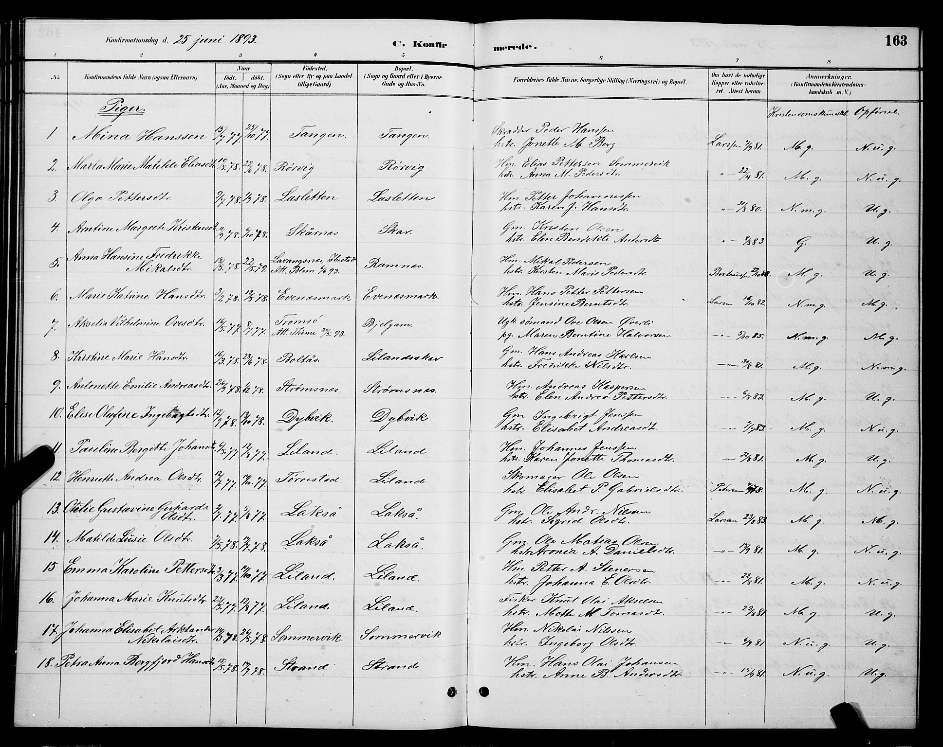 Ministerialprotokoller, klokkerbøker og fødselsregistre - Nordland, AV/SAT-A-1459/863/L0914: Parish register (copy) no. 863C04, 1886-1897, p. 163