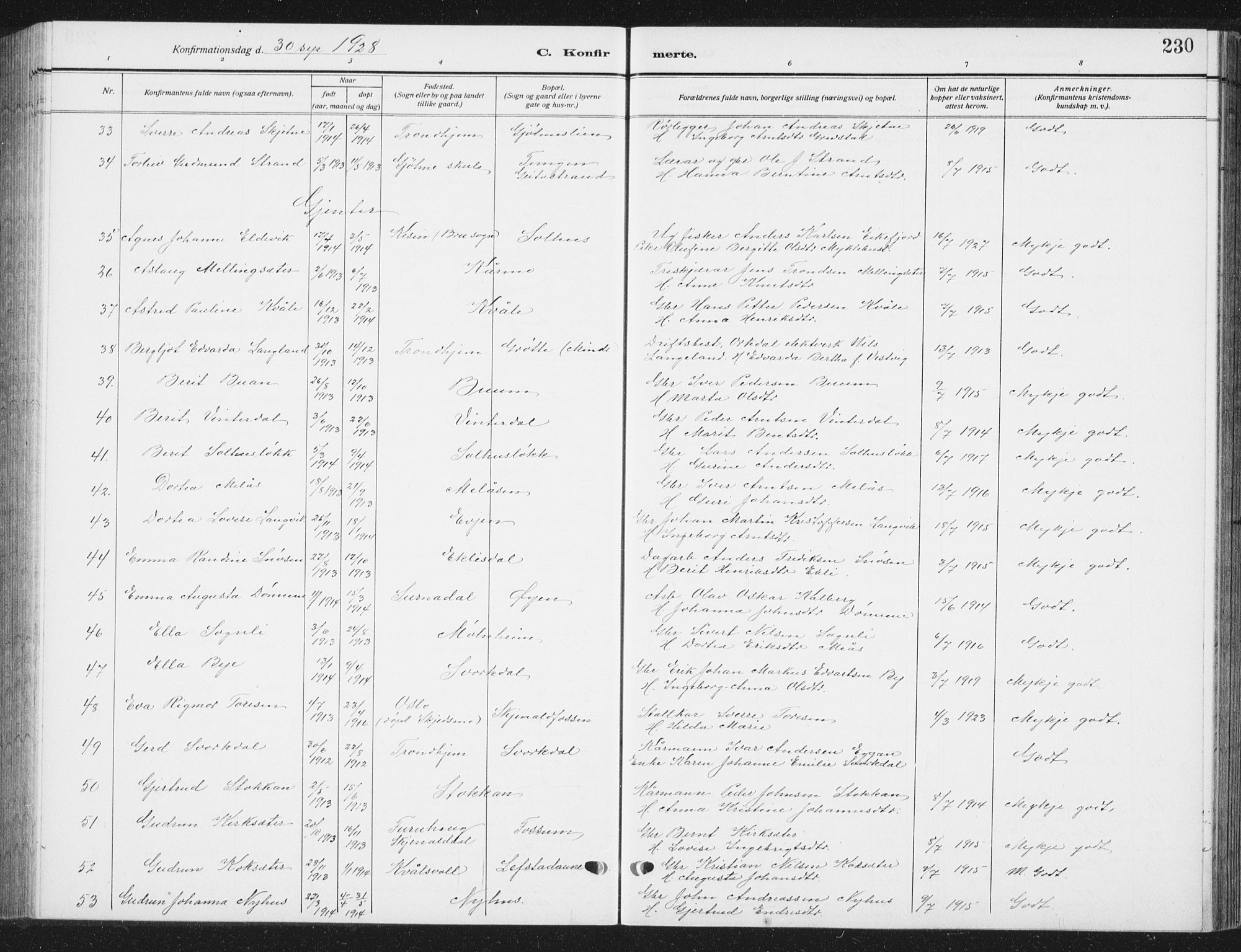 Ministerialprotokoller, klokkerbøker og fødselsregistre - Sør-Trøndelag, SAT/A-1456/668/L0820: Parish register (copy) no. 668C09, 1912-1936, p. 230
