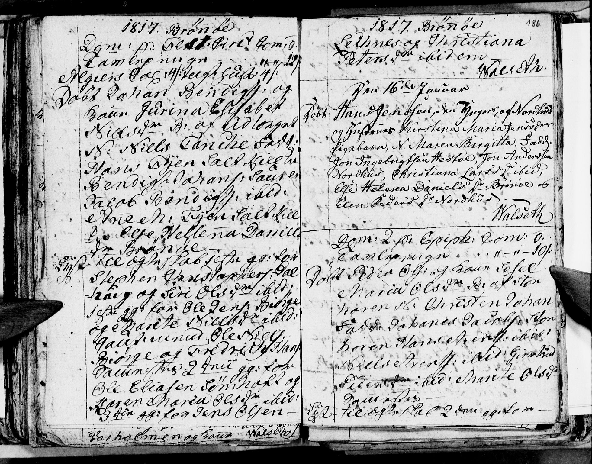 Ministerialprotokoller, klokkerbøker og fødselsregistre - Nordland, SAT/A-1459/813/L0209: Parish register (copy) no. 813C01, 1803-1821, p. 186