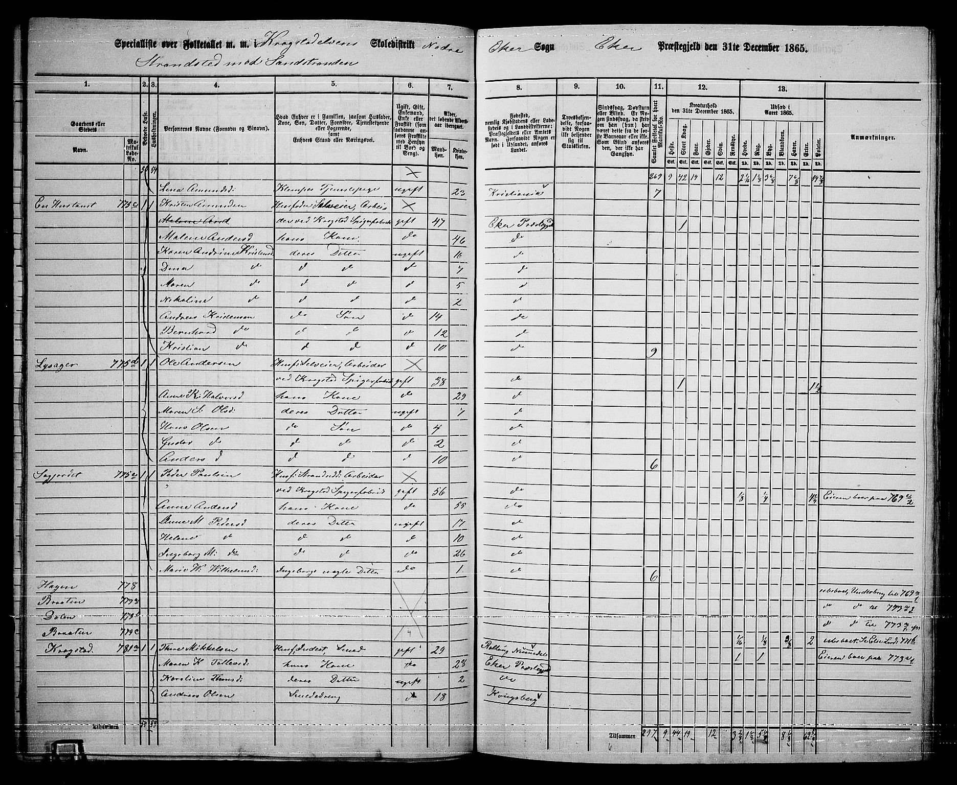 RA, 1865 census for Eiker, 1865, p. 376