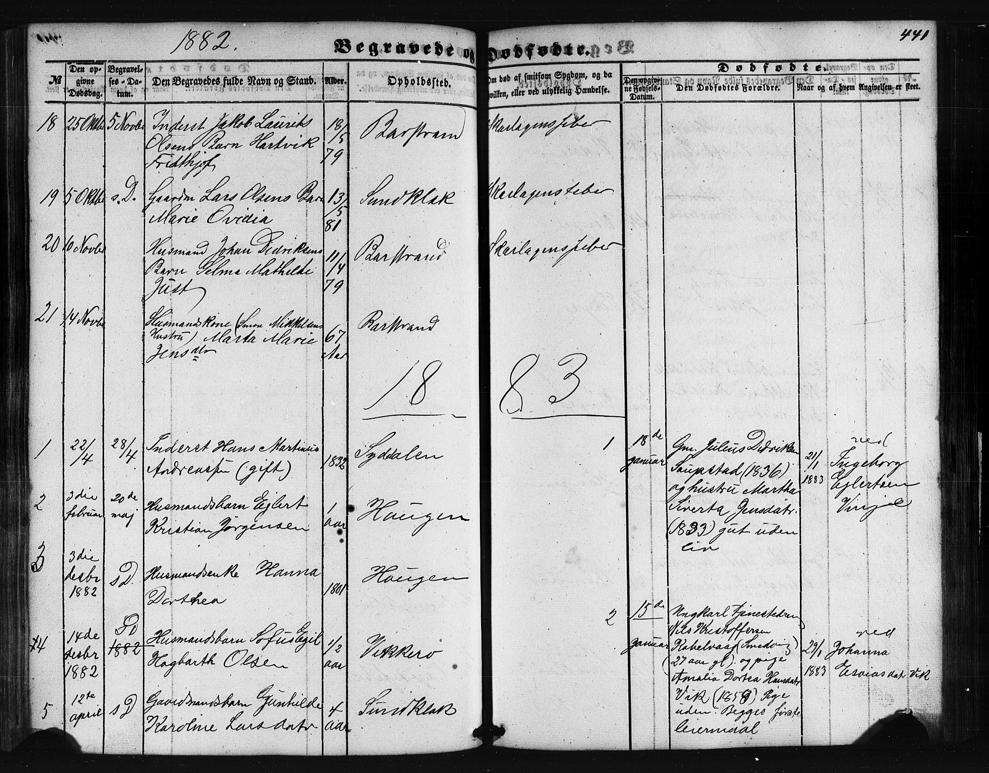 Ministerialprotokoller, klokkerbøker og fødselsregistre - Nordland, AV/SAT-A-1459/876/L1095: Parish register (official) no. 876A01, 1863-1885, p. 441