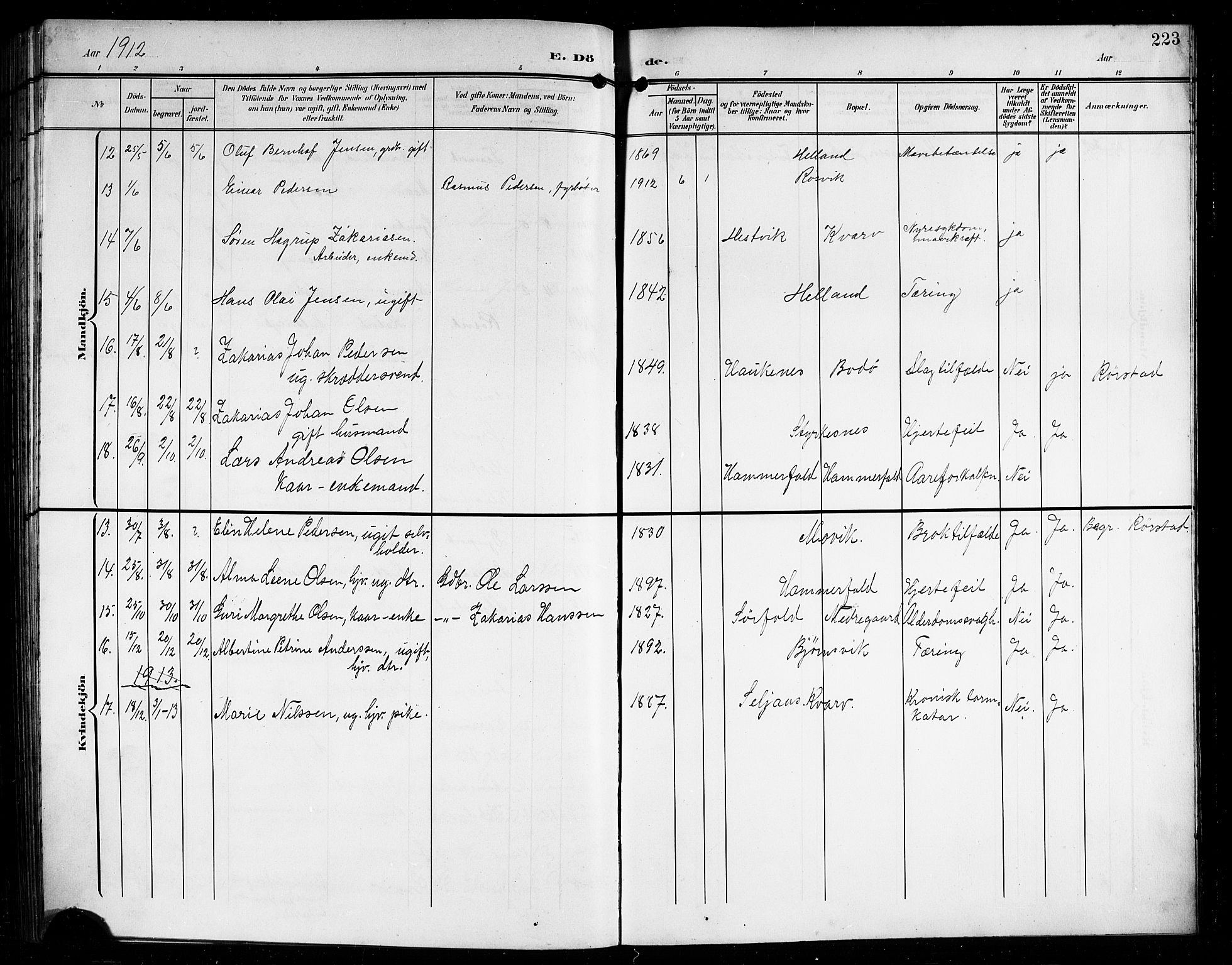 Ministerialprotokoller, klokkerbøker og fødselsregistre - Nordland, AV/SAT-A-1459/854/L0786: Parish register (copy) no. 854C02, 1901-1912, p. 223