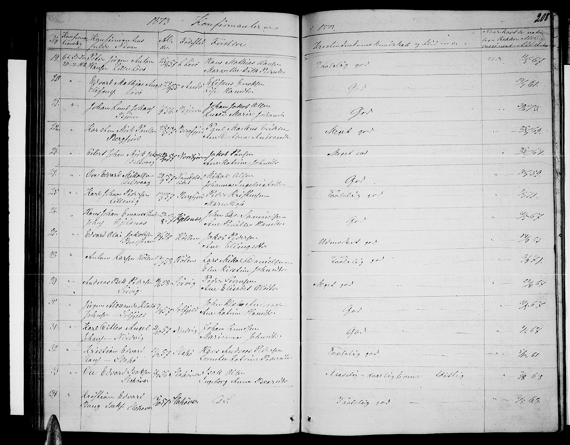 Ministerialprotokoller, klokkerbøker og fødselsregistre - Nordland, AV/SAT-A-1459/834/L0512: Parish register (copy) no. 834C03, 1862-1877, p. 208