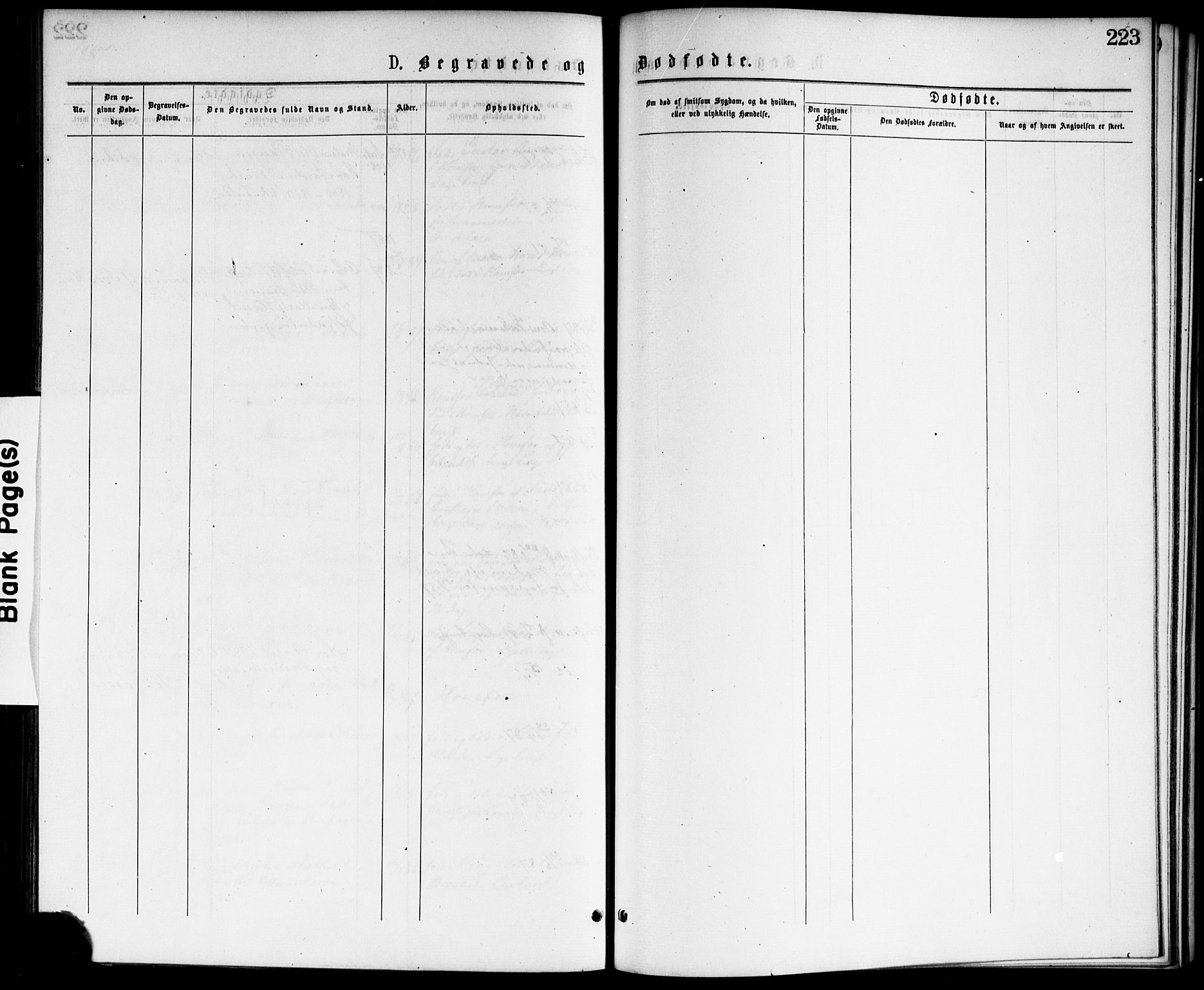 Hønefoss kirkebøker, AV/SAKO-A-609/F/Fa/L0001: Parish register (official) no. 1, 1875-1887, p. 223