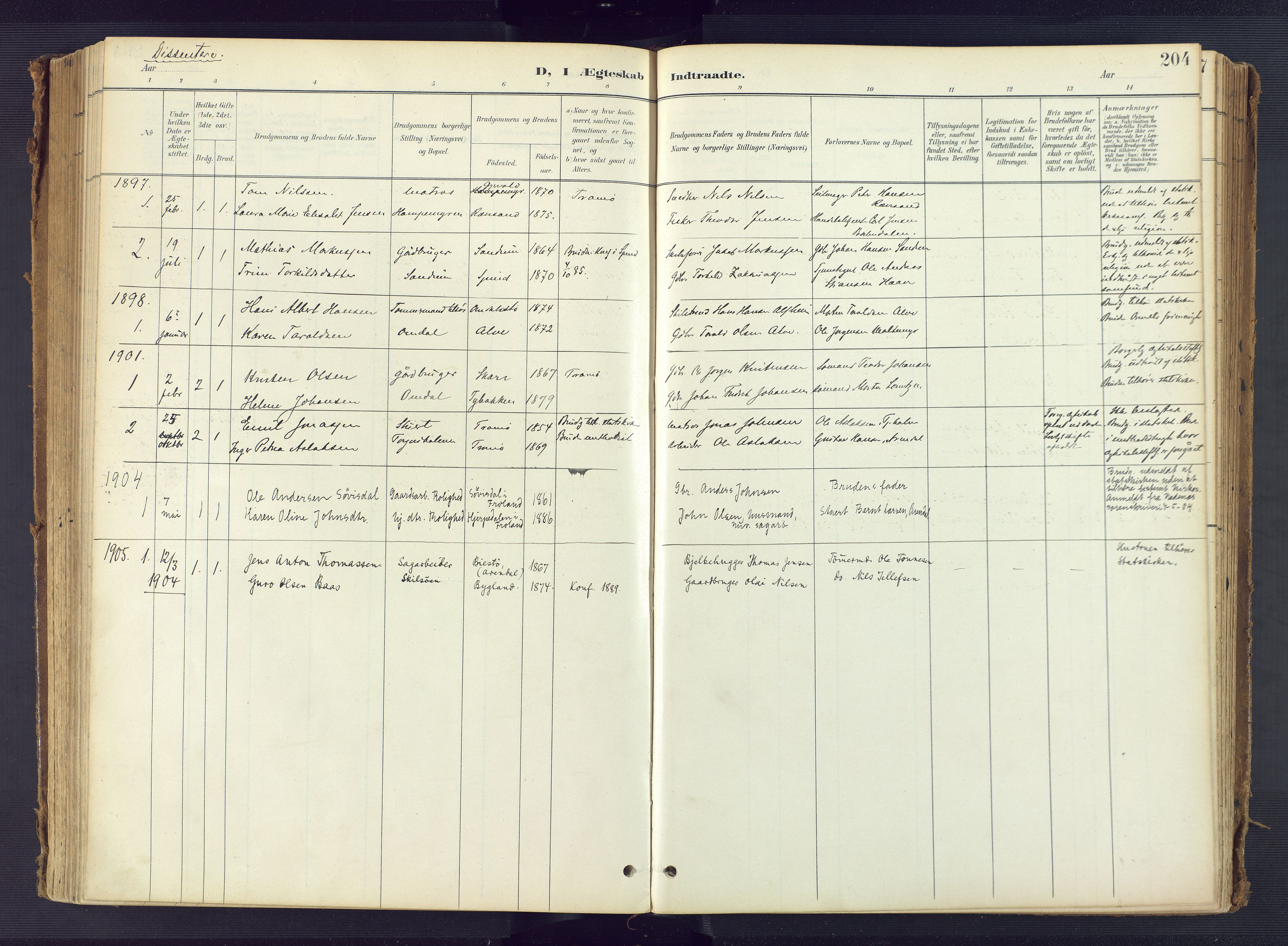 Tromøy sokneprestkontor, SAK/1111-0041/F/Fa/L0010: Parish register (official) no. A 10, 1896-1912, p. 204