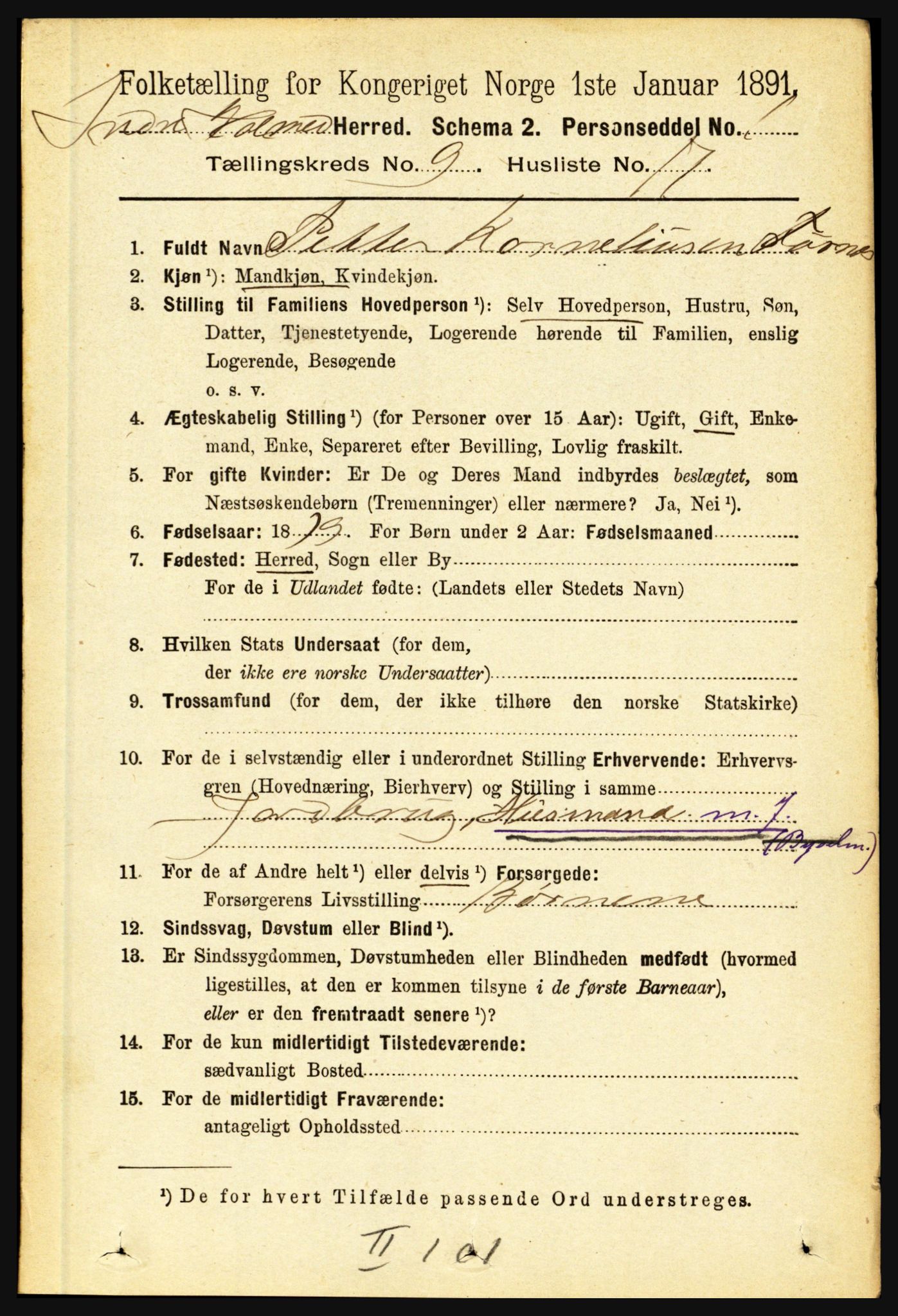 RA, 1891 census for 1430 Indre Holmedal, 1891, p. 4161