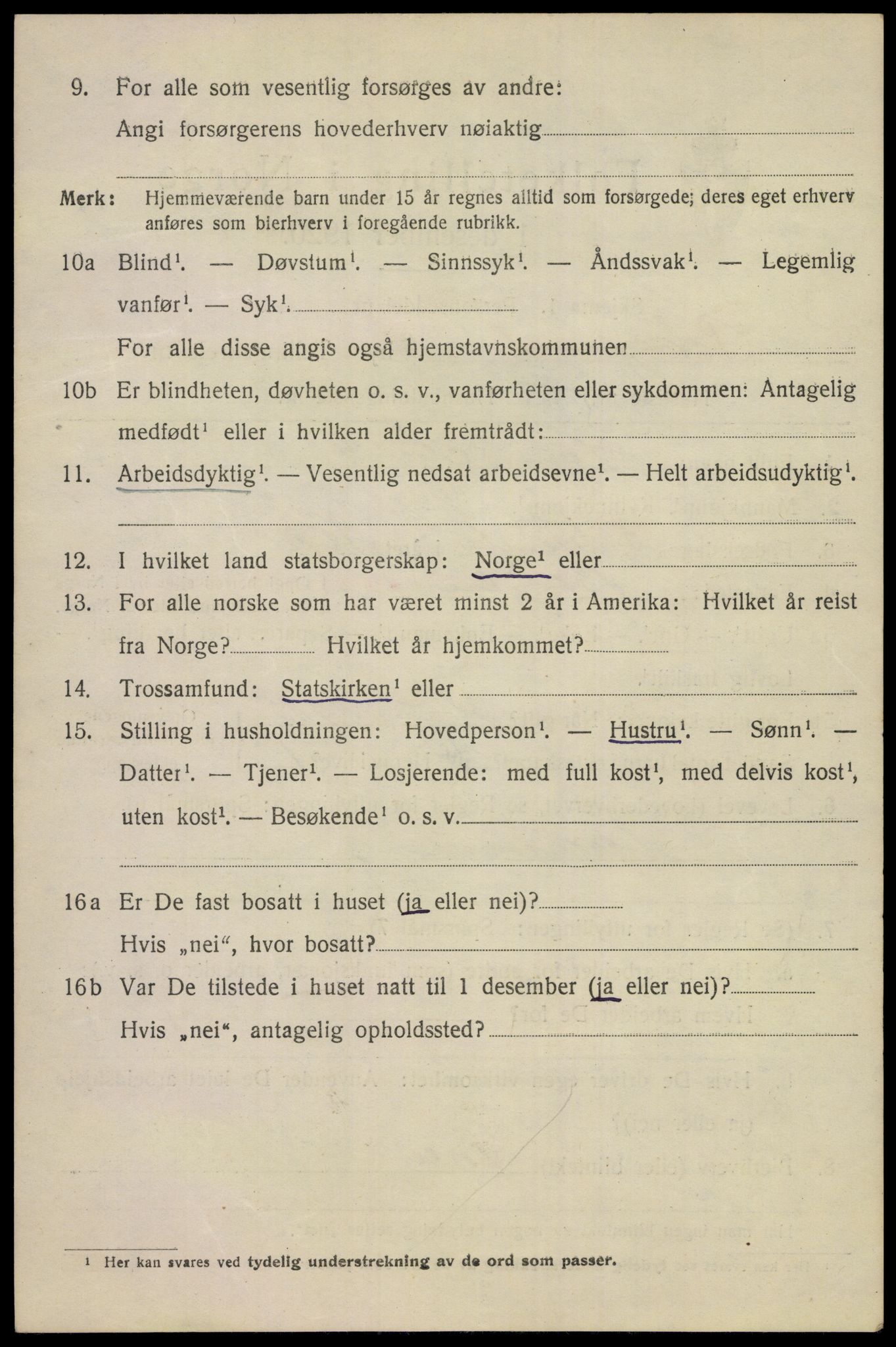 SAKO, 1920 census for Porsgrunn, 1920, p. 19944