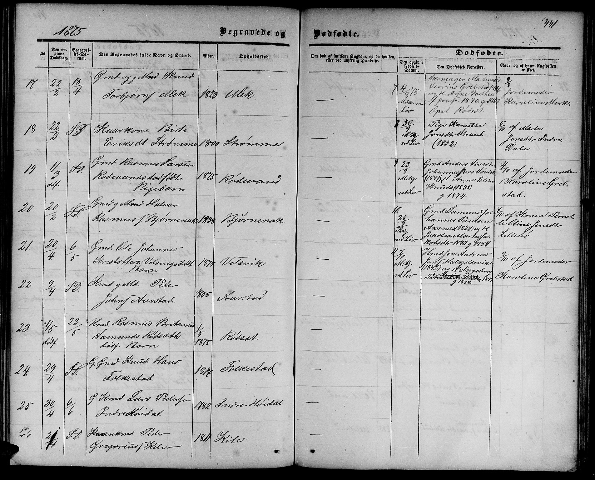 Ministerialprotokoller, klokkerbøker og fødselsregistre - Møre og Romsdal, AV/SAT-A-1454/511/L0157: Parish register (copy) no. 511C03, 1864-1884, p. 441