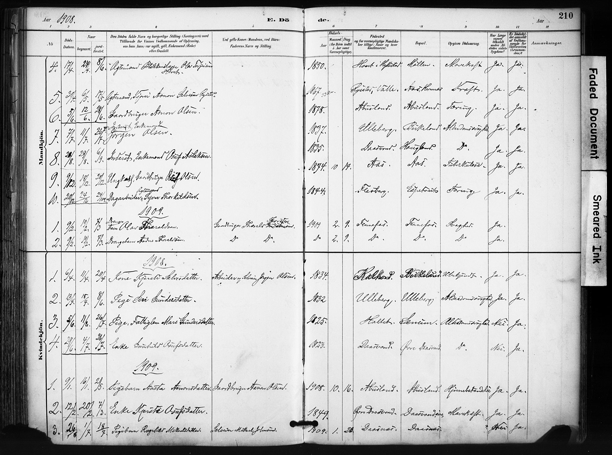 Evje sokneprestkontor, SAK/1111-0008/F/Fa/Fab/L0003: Parish register (official) no. A 3, 1884-1909, p. 210