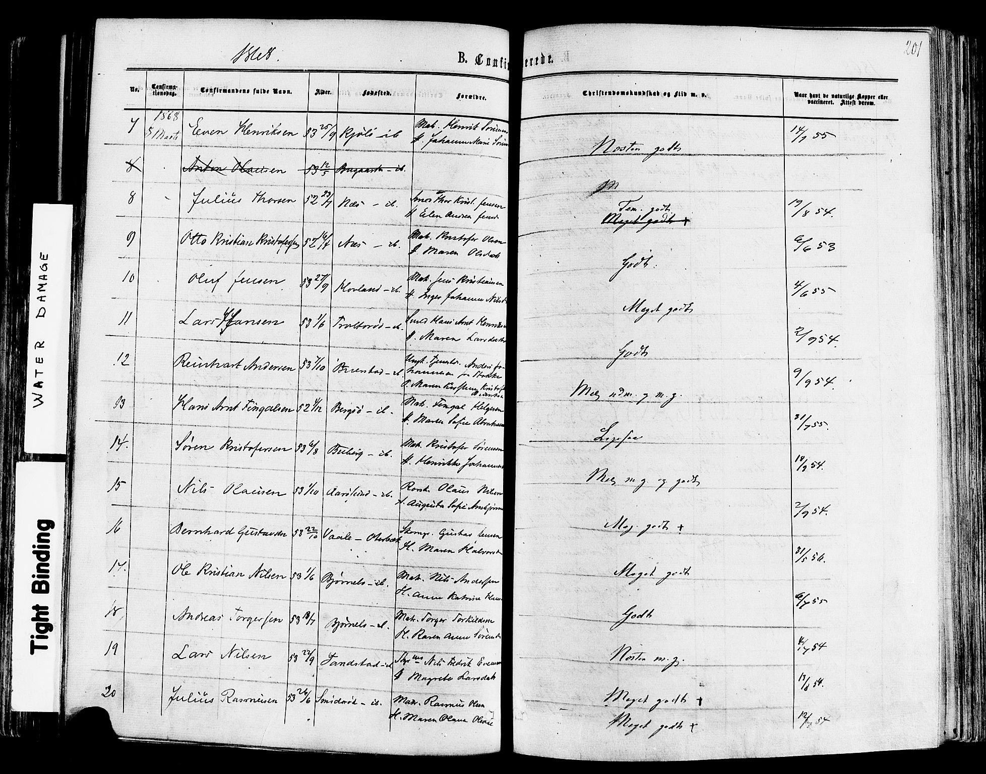 Nøtterøy kirkebøker, SAKO/A-354/F/Fa/L0007: Parish register (official) no. I 7, 1865-1877, p. 201