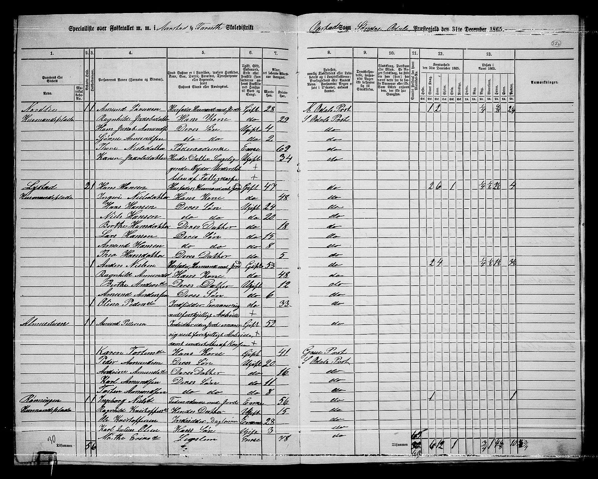 RA, 1865 census for Sør-Odal, 1865, p. 309