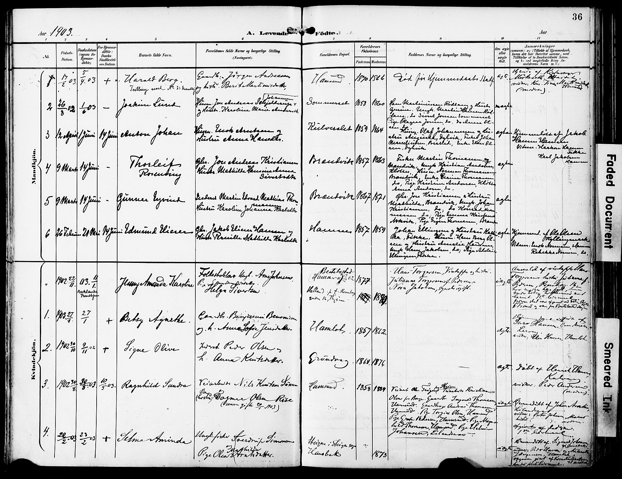 Ministerialprotokoller, klokkerbøker og fødselsregistre - Nordland, AV/SAT-A-1459/859/L0848: Parish register (official) no. 859A08, 1900-1912, p. 36