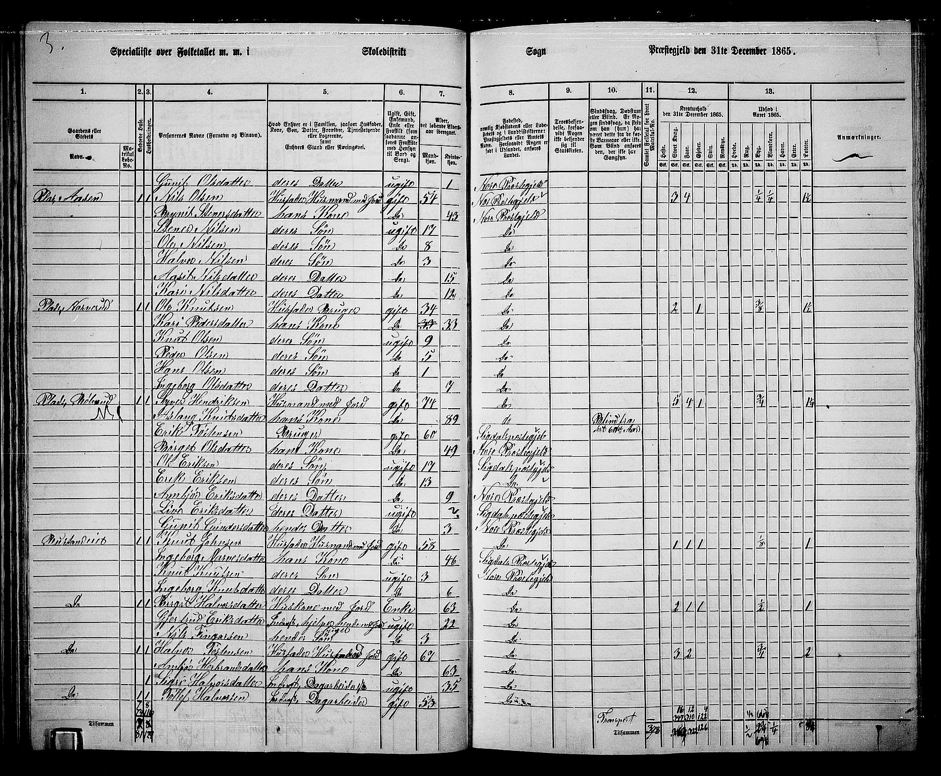 RA, 1865 census for Nore, 1865, p. 45