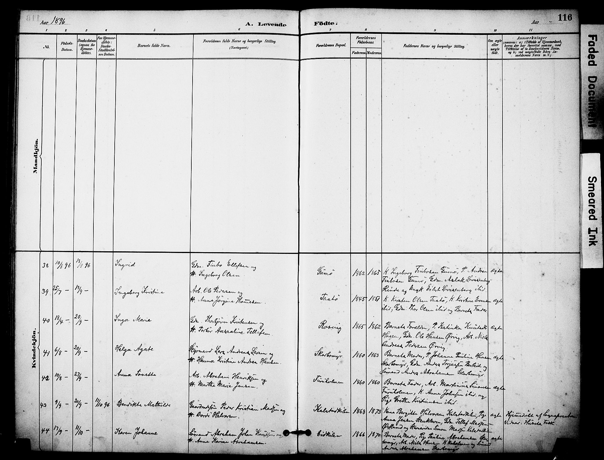 Skåtøy kirkebøker, SAKO/A-304/F/Fa/L0002: Parish register (official) no. I 2, 1884-1899, p. 116