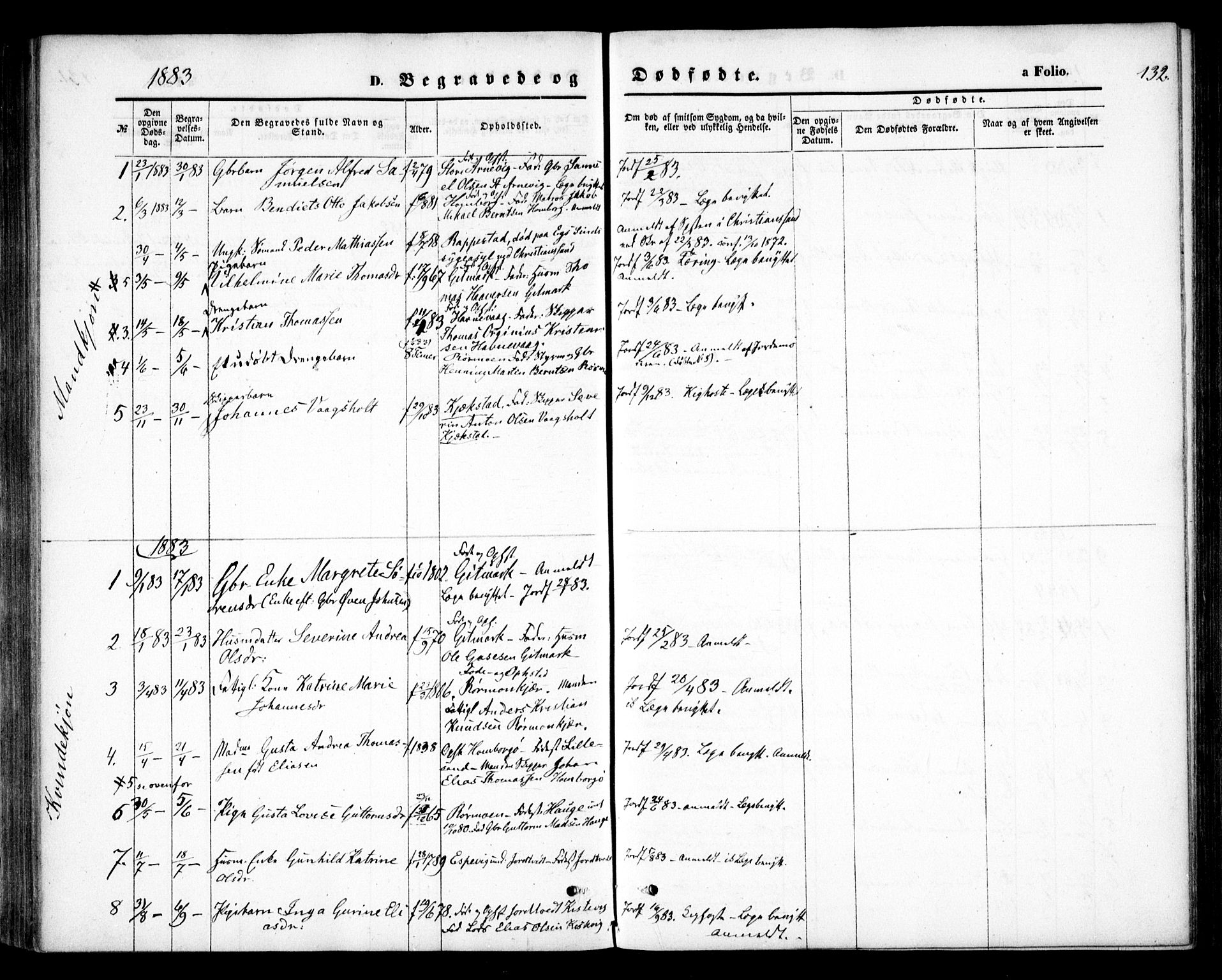 Hommedal sokneprestkontor, AV/SAK-1111-0023/F/Fa/Faa/L0002: Parish register (official) no. A 2, 1861-1884, p. 132