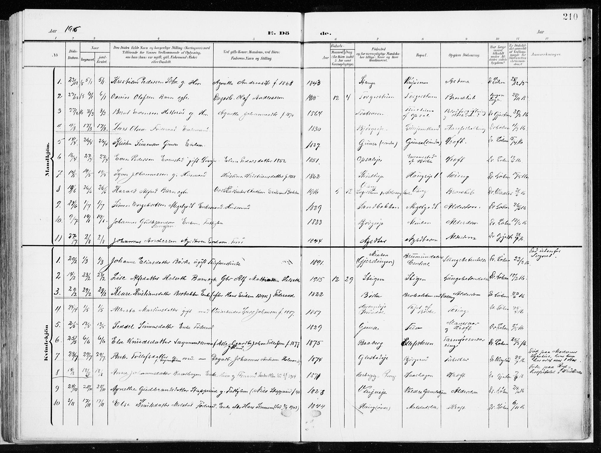 Ringsaker prestekontor, AV/SAH-PREST-014/K/Ka/L0019: Parish register (official) no. 19, 1905-1920, p. 210