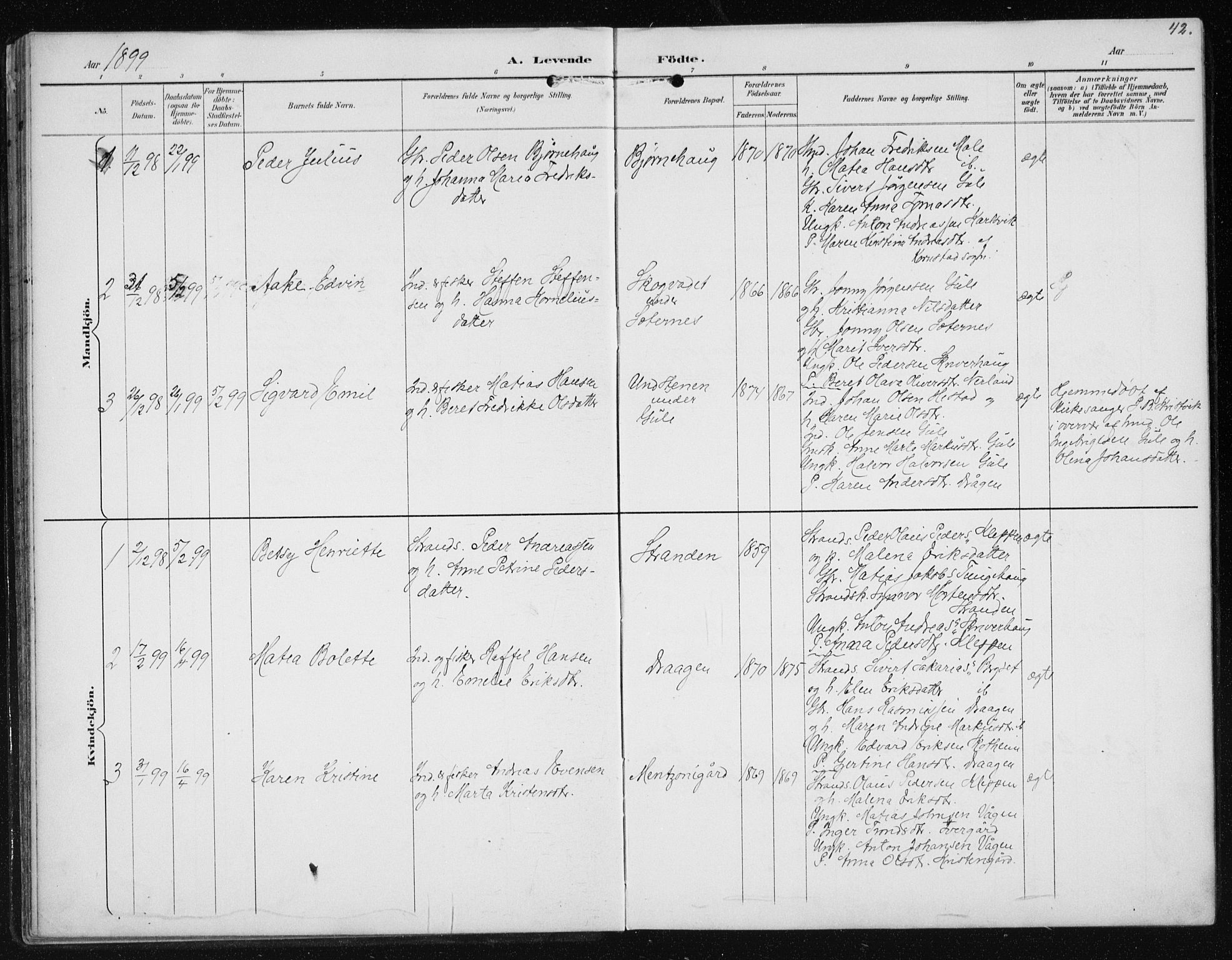 Ministerialprotokoller, klokkerbøker og fødselsregistre - Møre og Romsdal, AV/SAT-A-1454/566/L0773: Parish register (copy) no. 566C02, 1892-1909, p. 42