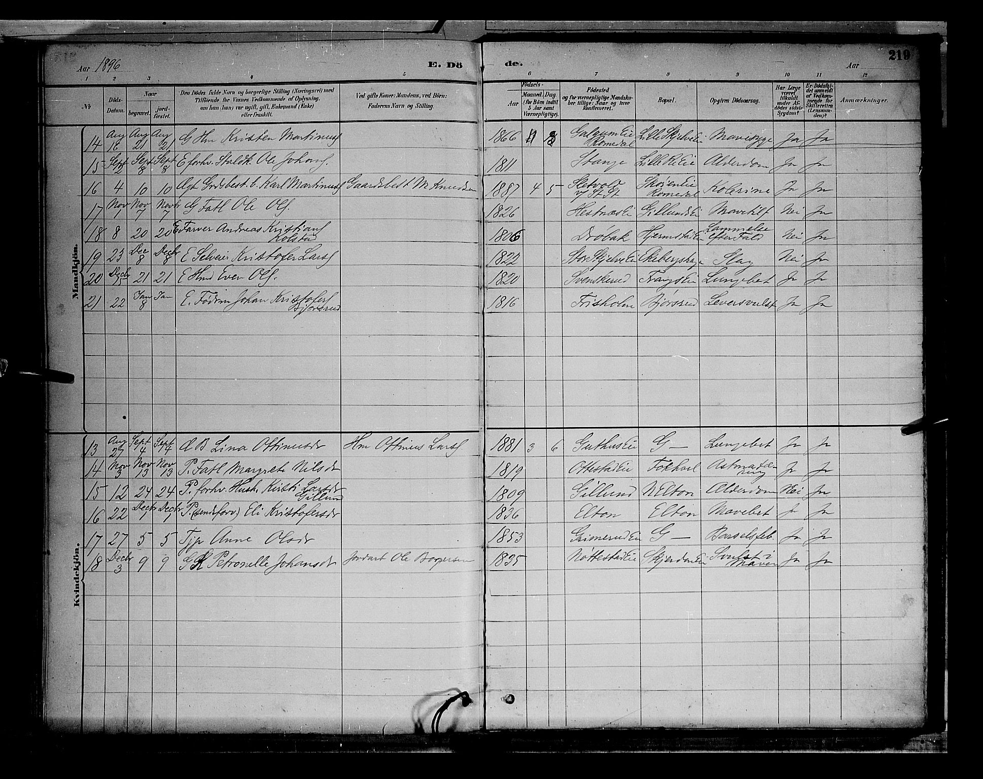 Stange prestekontor, AV/SAH-PREST-002/L/L0009: Parish register (copy) no. 9, 1883-1899, p. 219